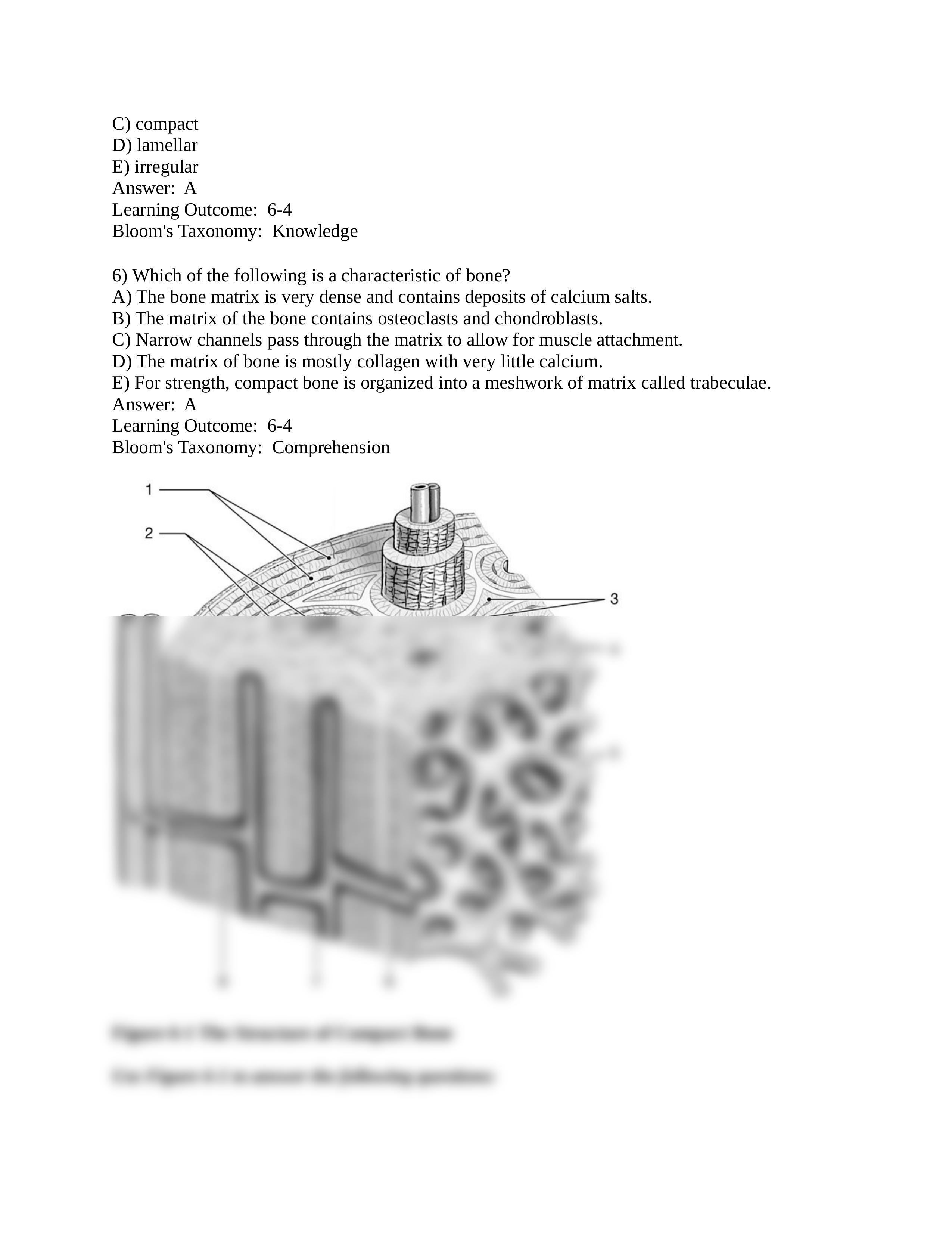 ap-i-2015-exam-2-answers.docx_d6iv47h3xi8_page2