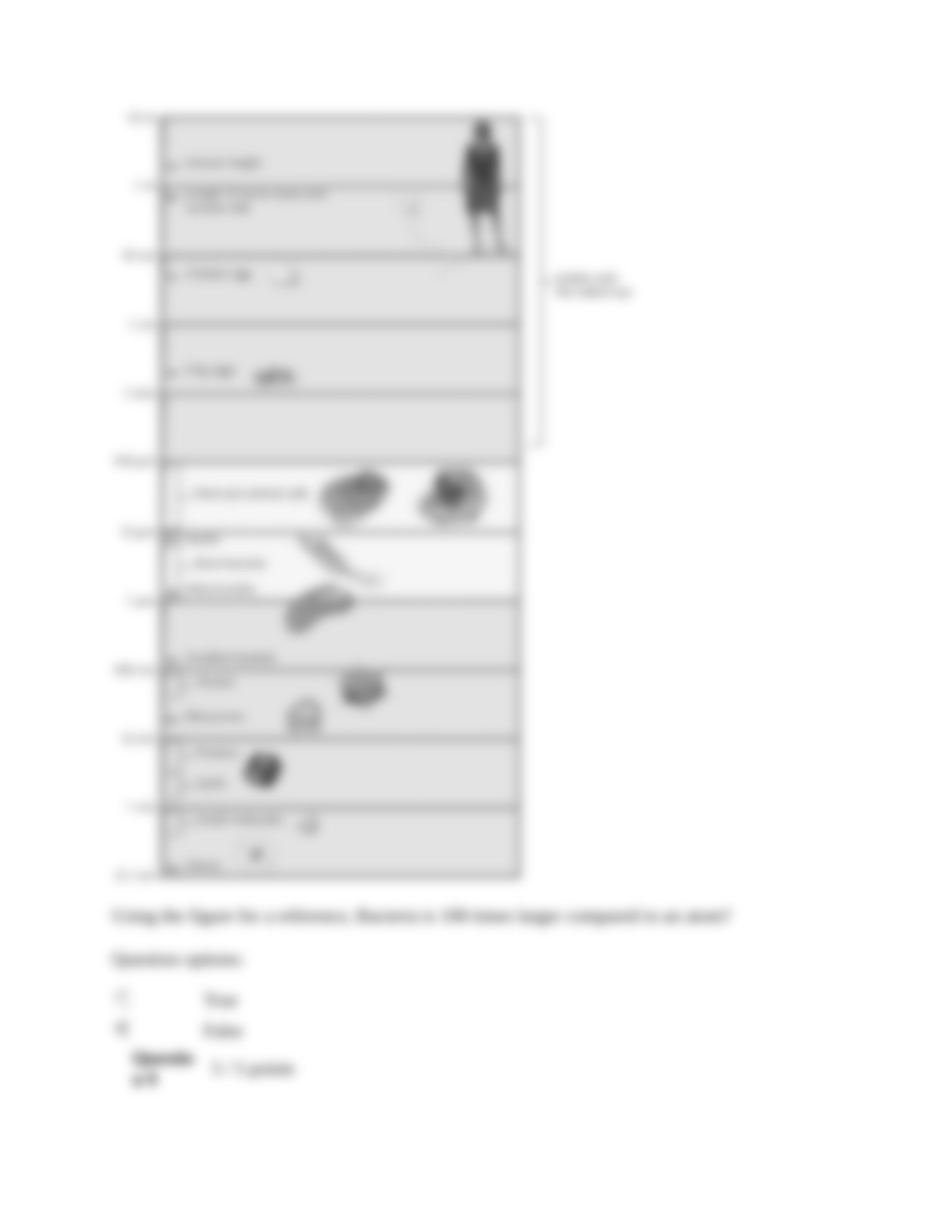 Basic Biology Module 2.docx_d6jjr9fv1i0_page3