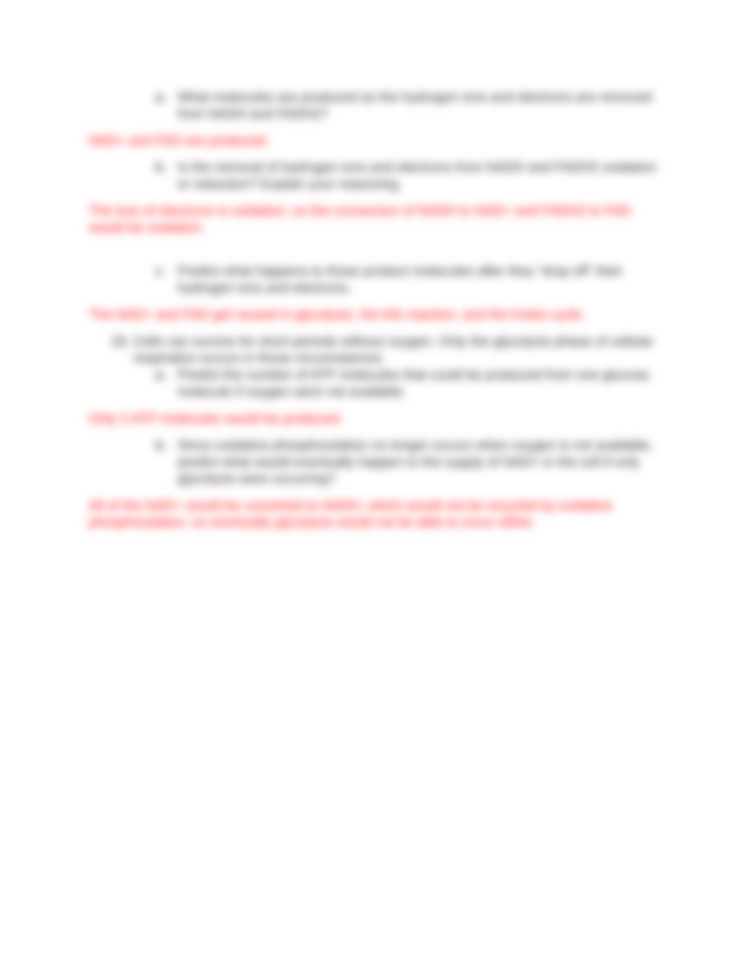 POGIL - Cellular Respiration 1_AnswerKey.docx_d6k0nl5xaxq_page5