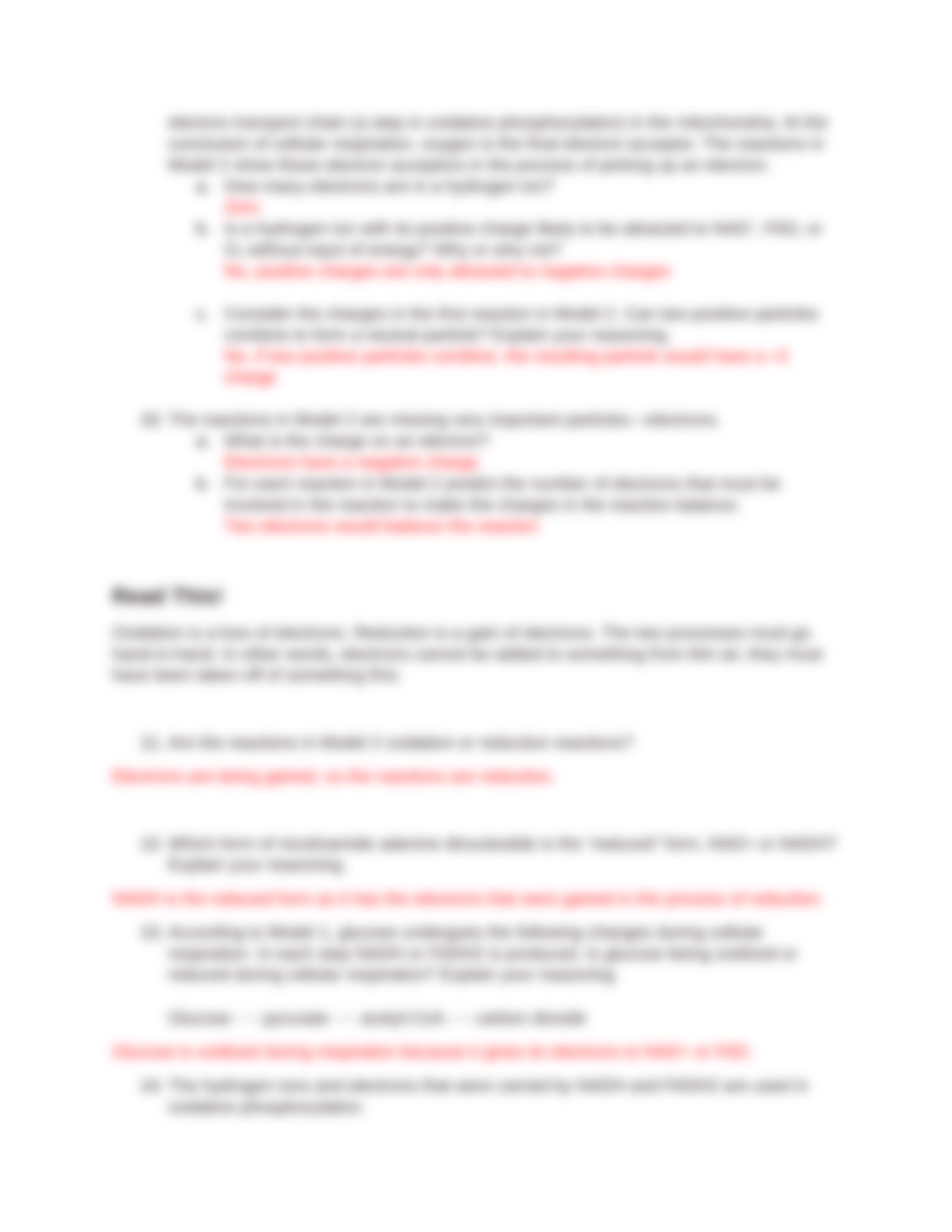 POGIL - Cellular Respiration 1_AnswerKey.docx_d6k0nl5xaxq_page4