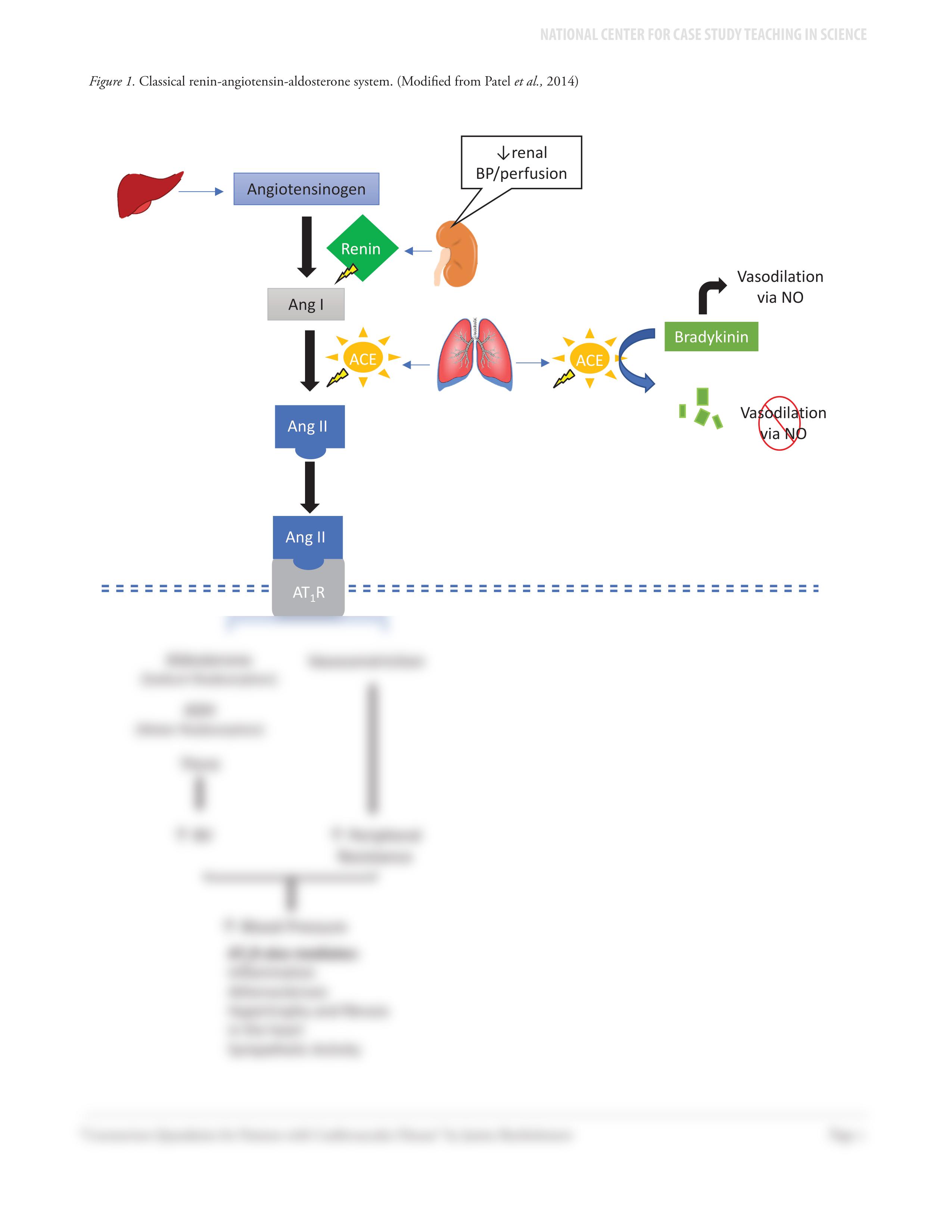 CVD and COVID.pdf_d6ld5wtd3pb_page2