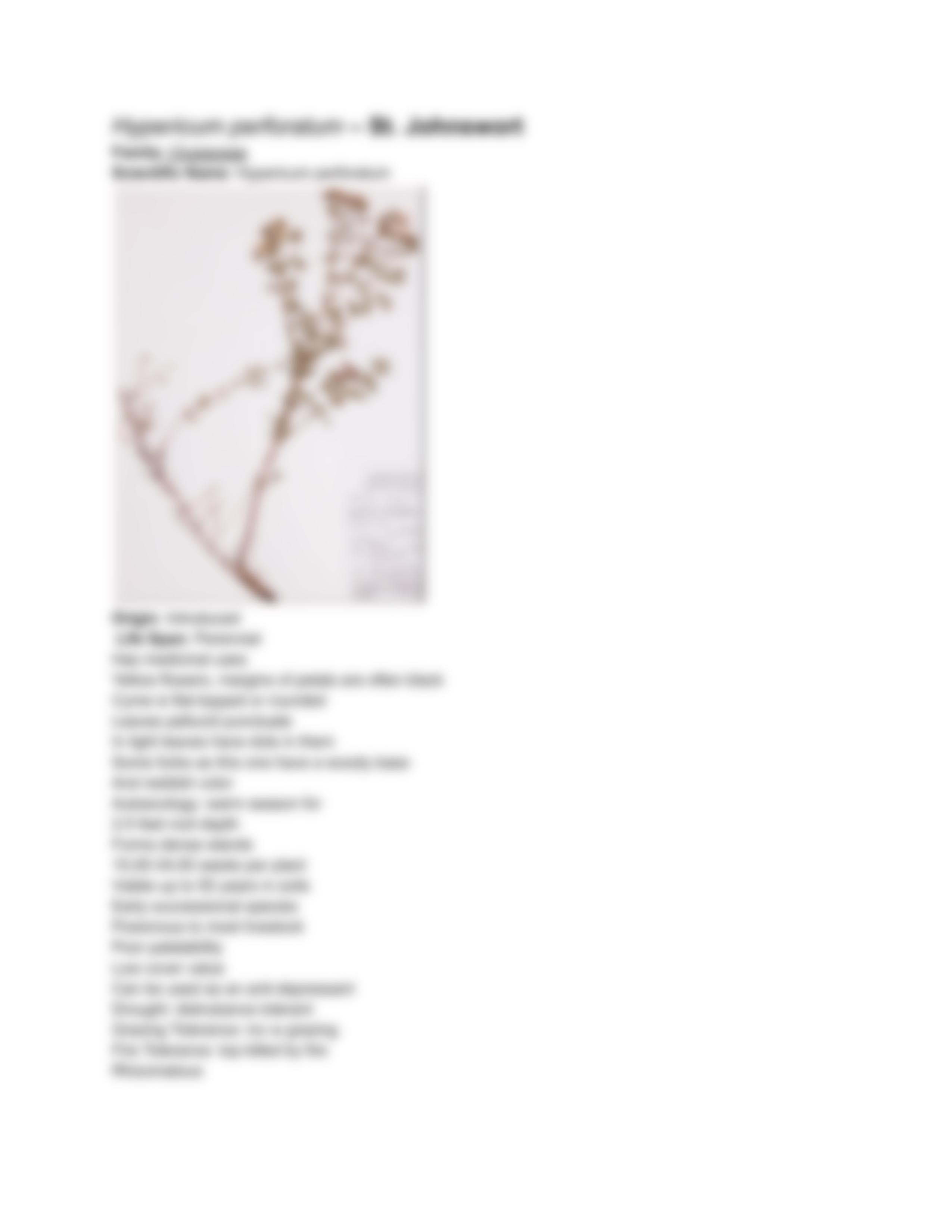 Wildland Plant study guide copy.pdf_d6nw05c6j87_page4