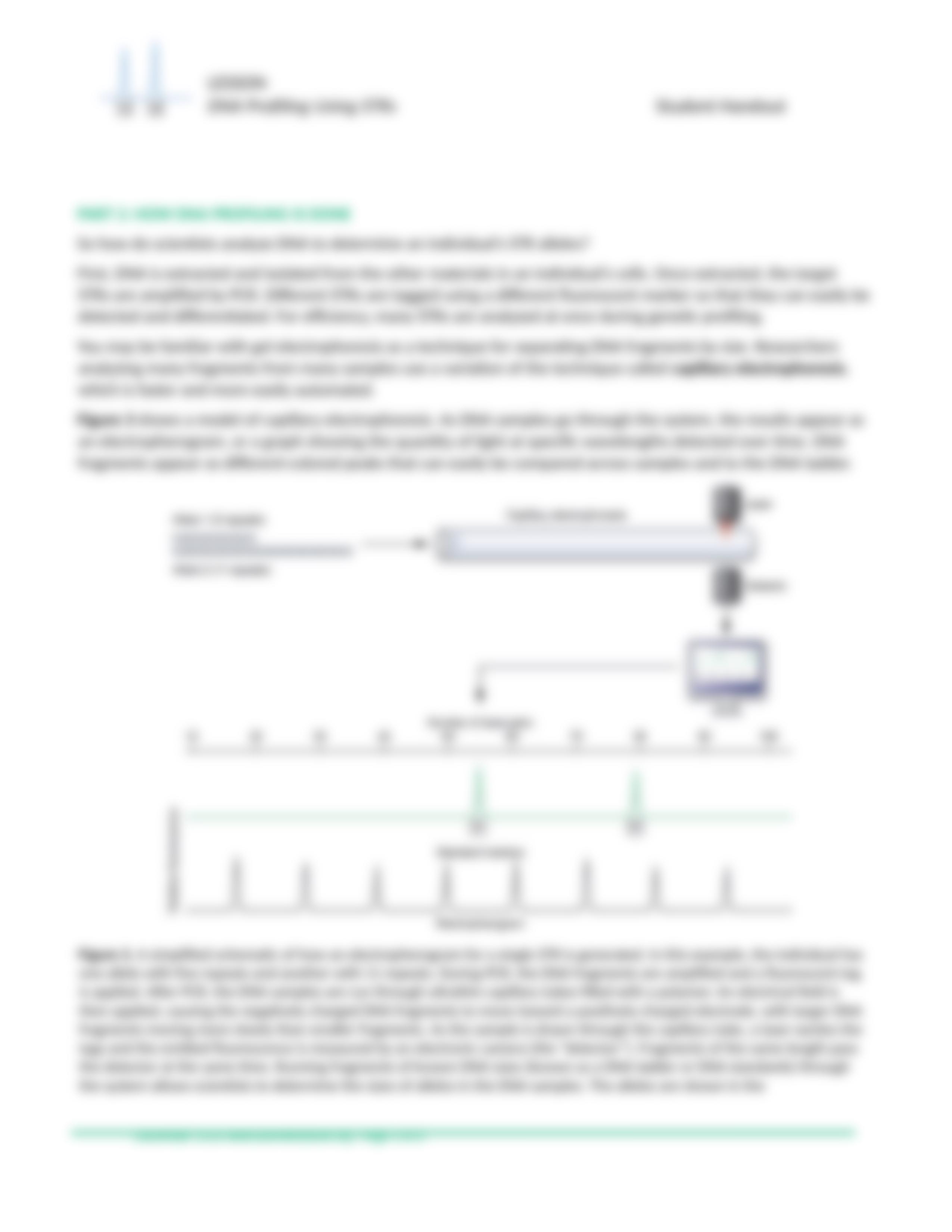 DNA Profiling Lab.docx_d6xstj6xdz0_page3