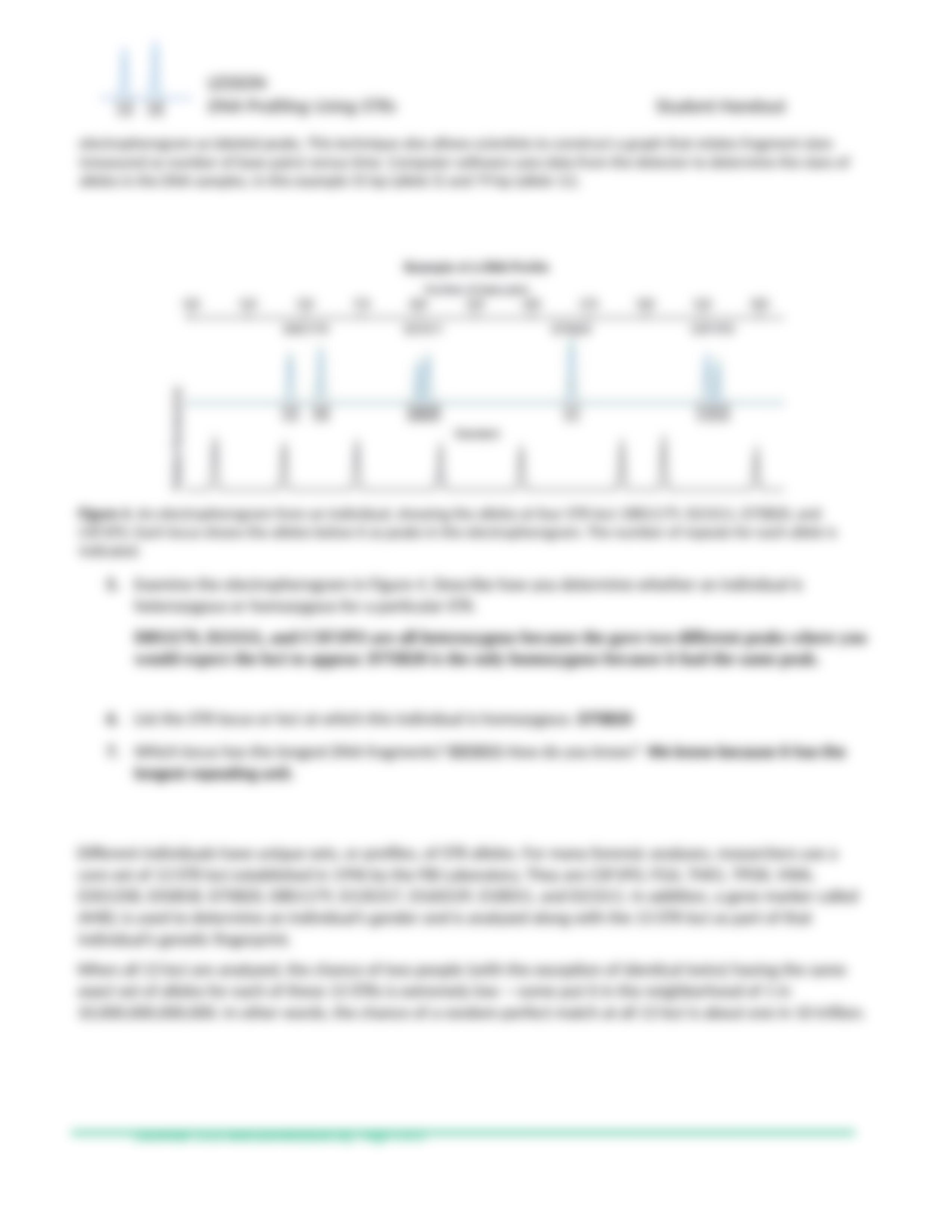 DNA Profiling Lab.docx_d6xstj6xdz0_page4