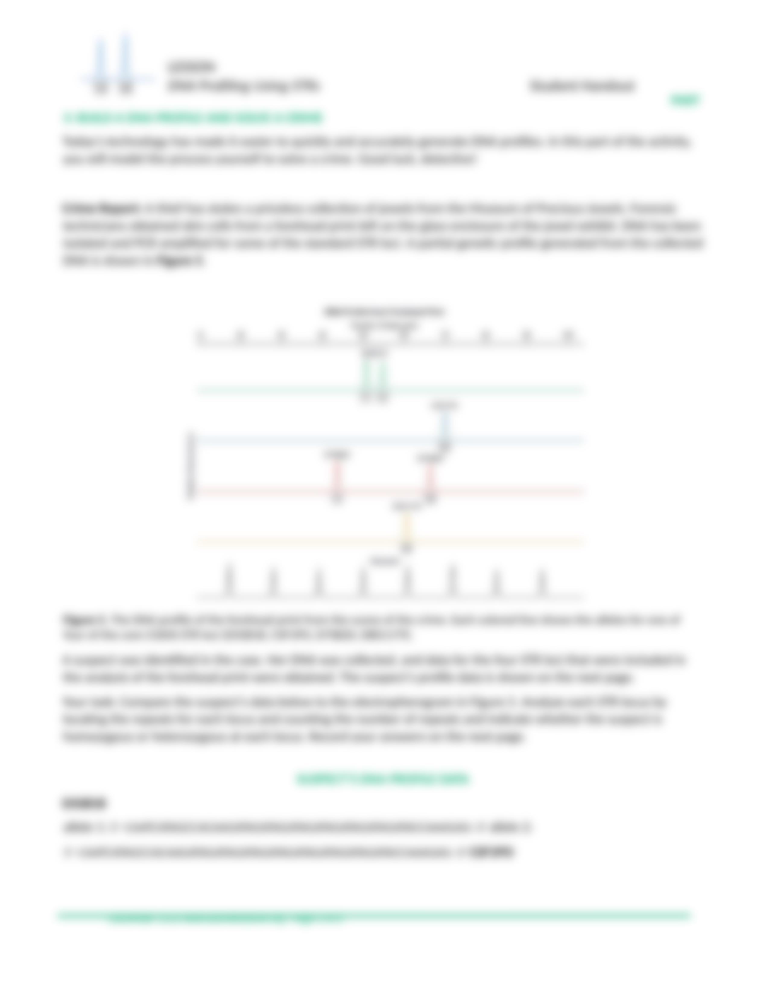 DNA Profiling Lab.docx_d6xstj6xdz0_page5