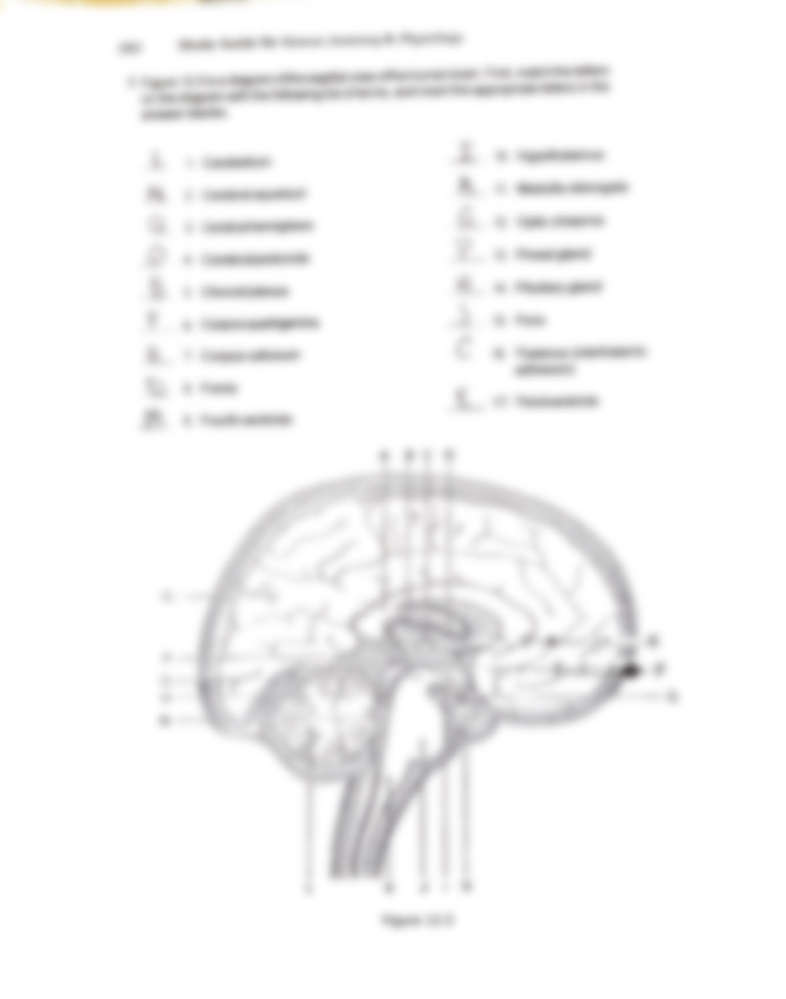 Scan Jan 20, 2021.pdf_d71qs3vs403_page5