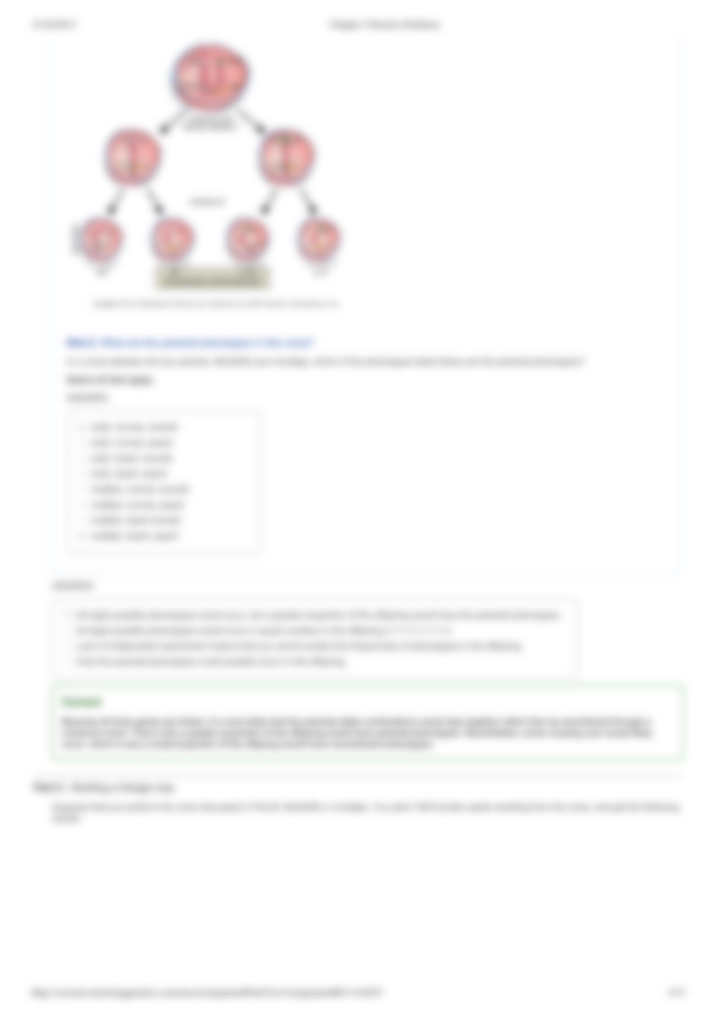 Chapter 5 Practice Problems_d73ngim50se_page4