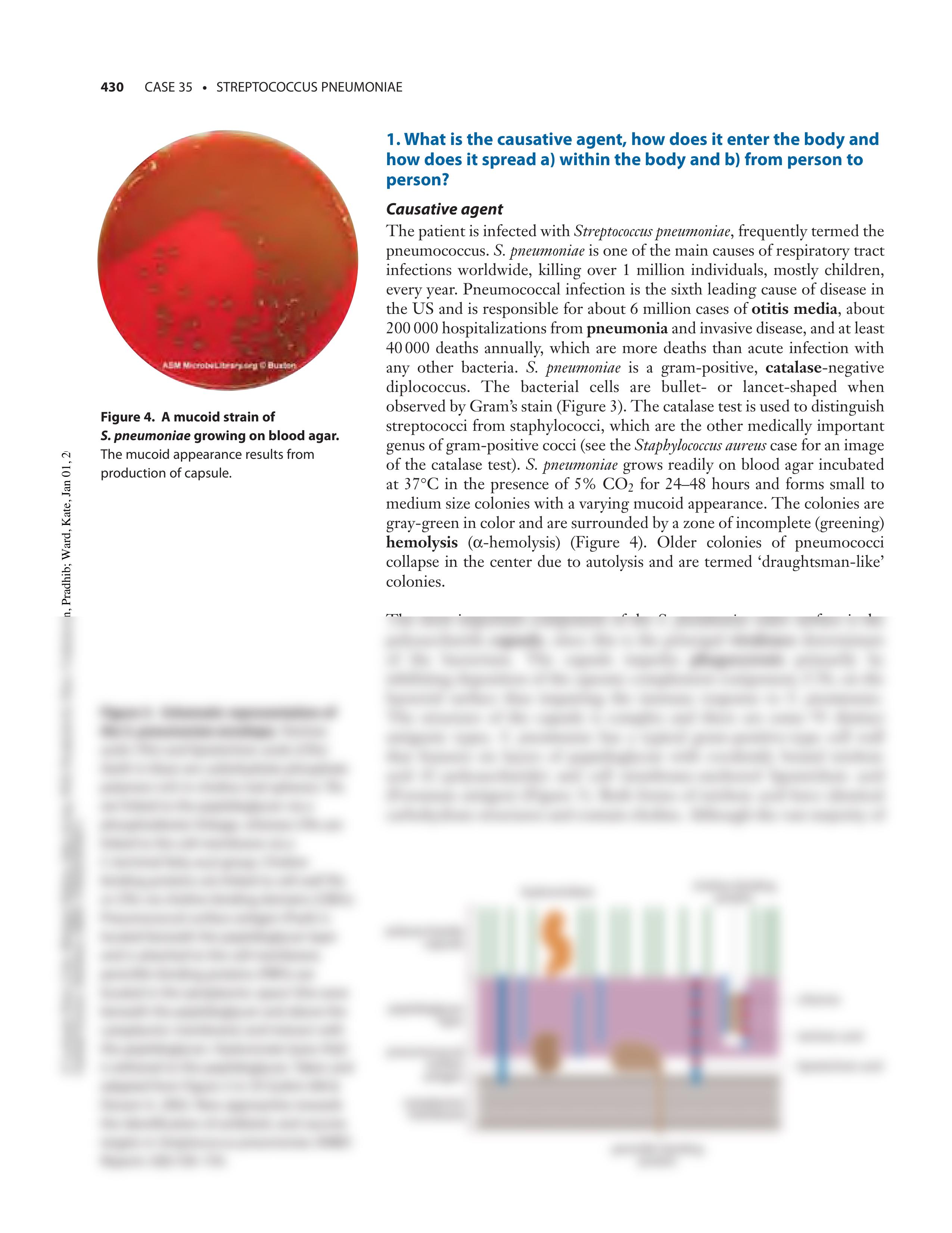 case35. streppneumoniae_d76ul5q92ye_page2