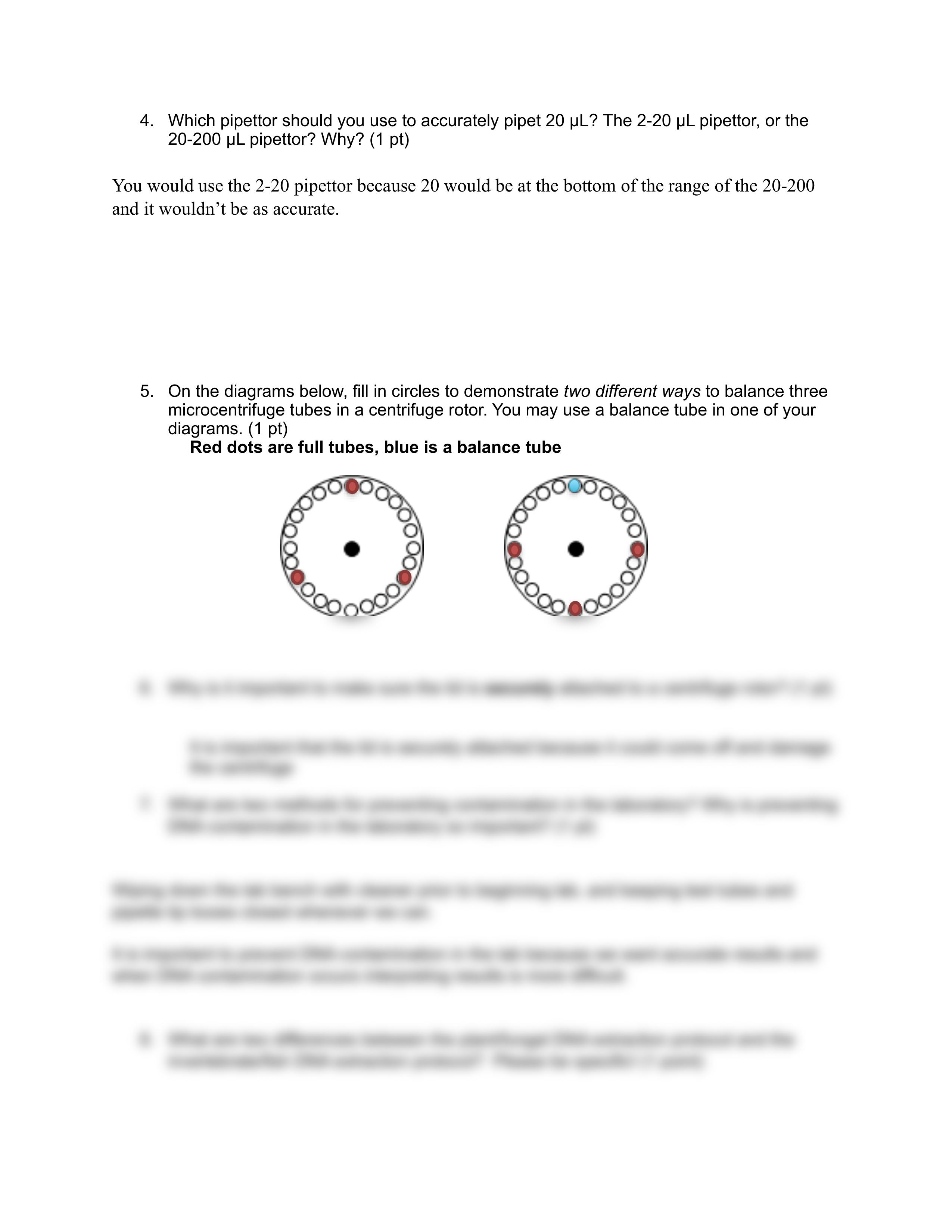 Pipetting Postlab Template Fall 2021.pdf_d78g8coujee_page2