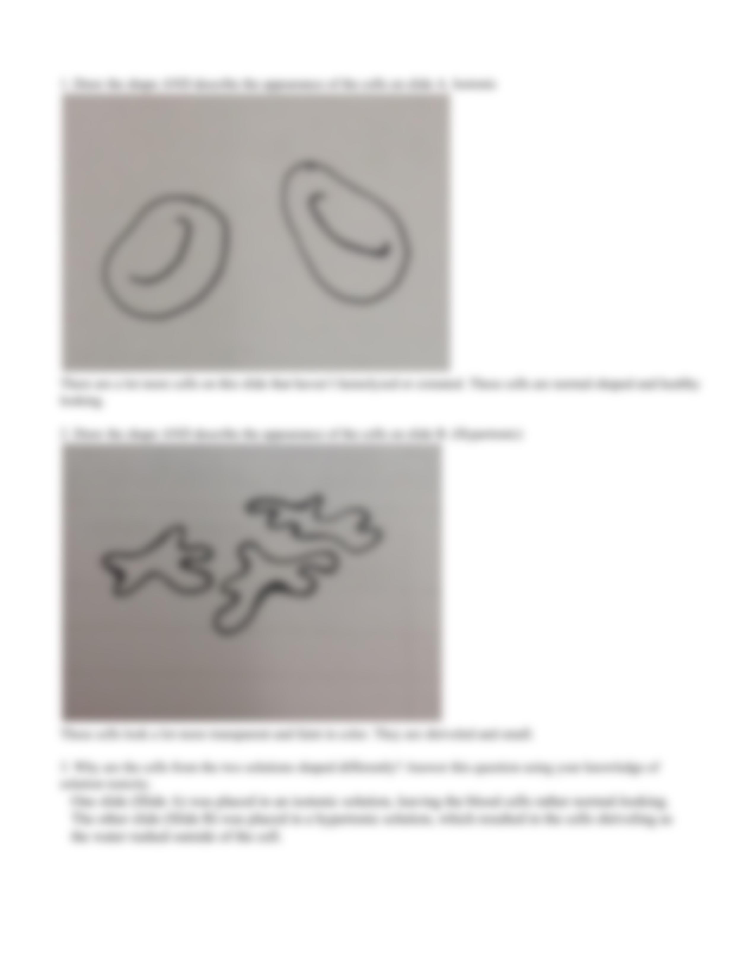 Membrane transport worksheet.pdf_d78iy7tozcx_page3