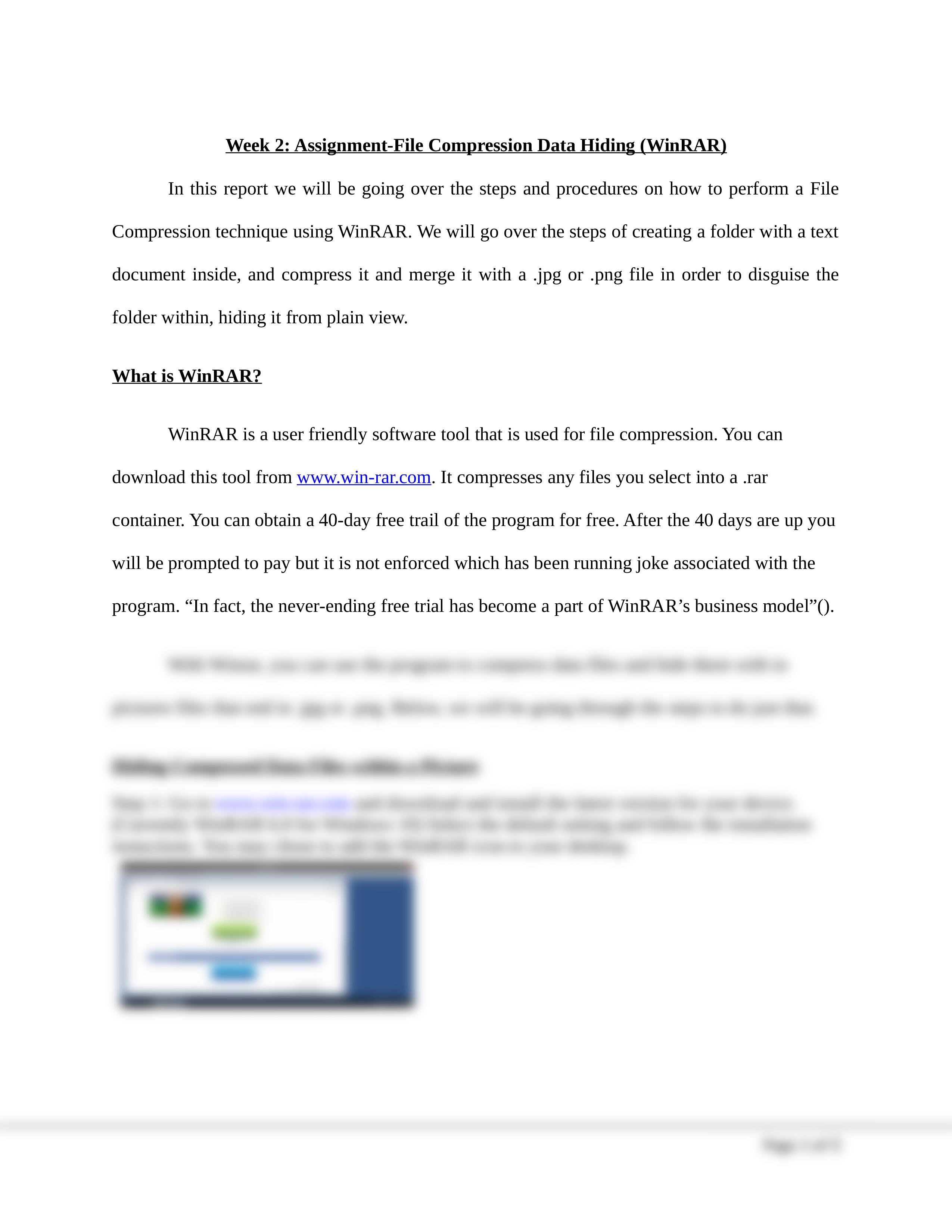 Week 2: Assignment: File Compression Data Hiding (Winrar).odt_d78w37y0f68_page2