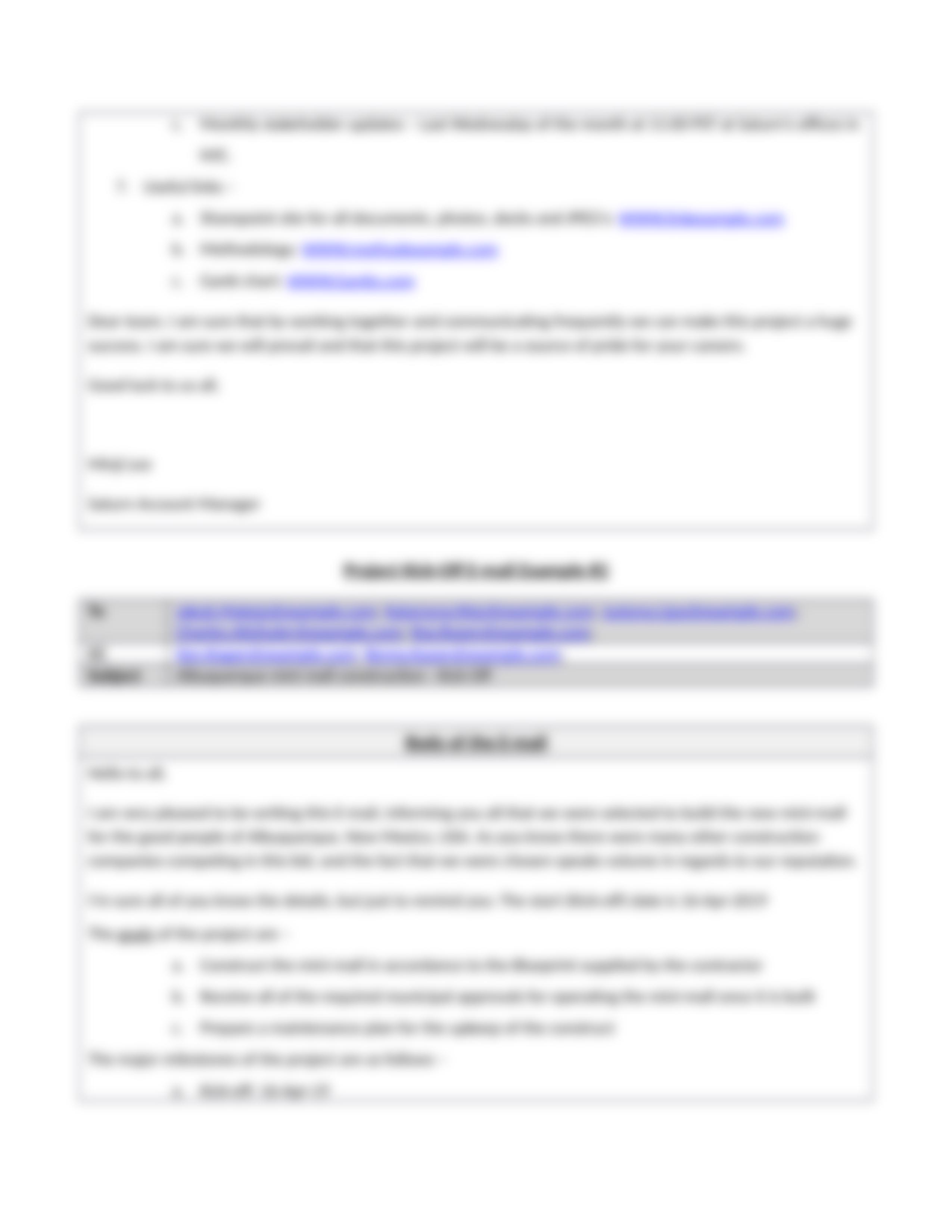 Project Kickoff E-mail Template and Examples (3).docx_d7bxtg1d224_page3