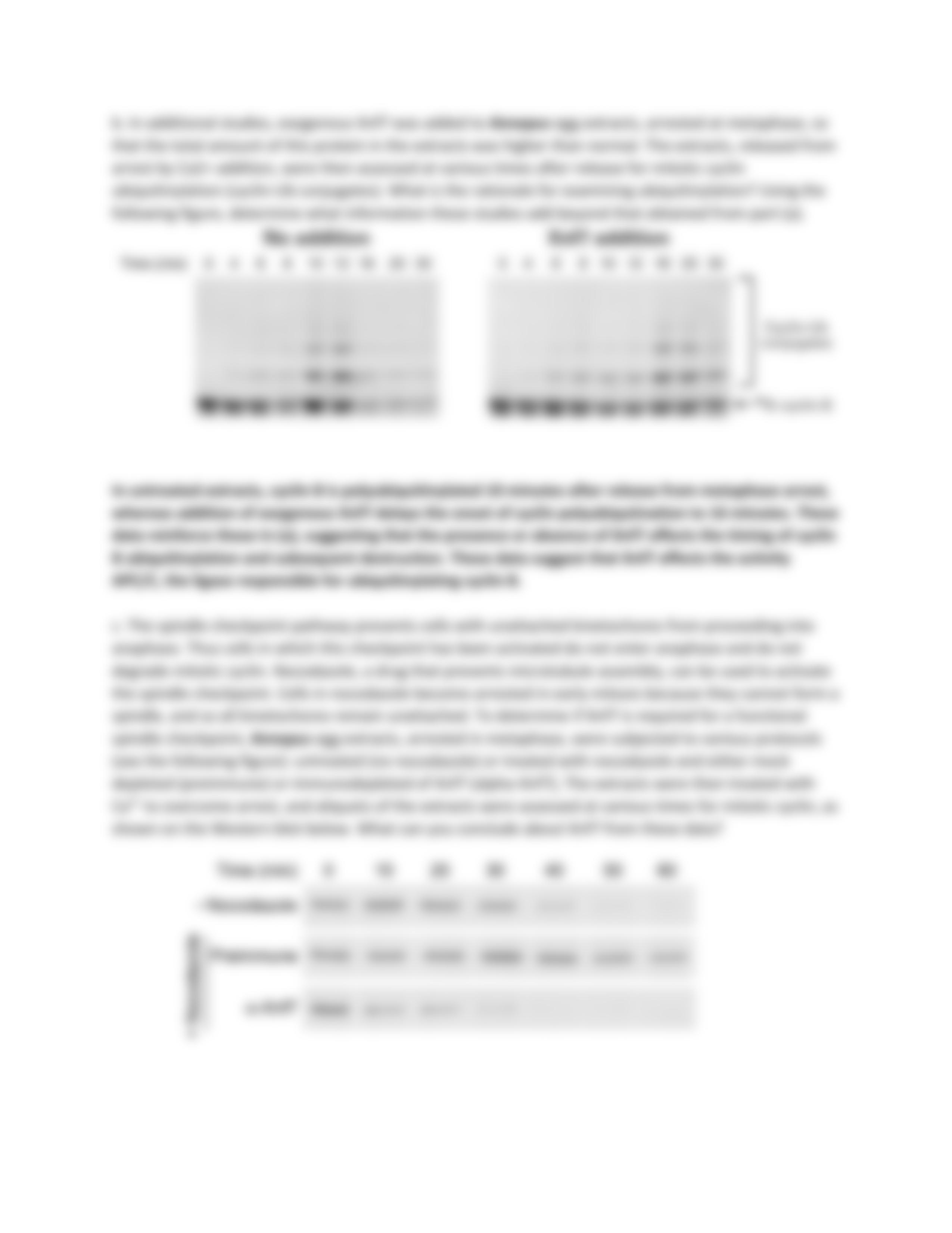 Problem Set 3 Answer Key_d7d2q4867d6_page3