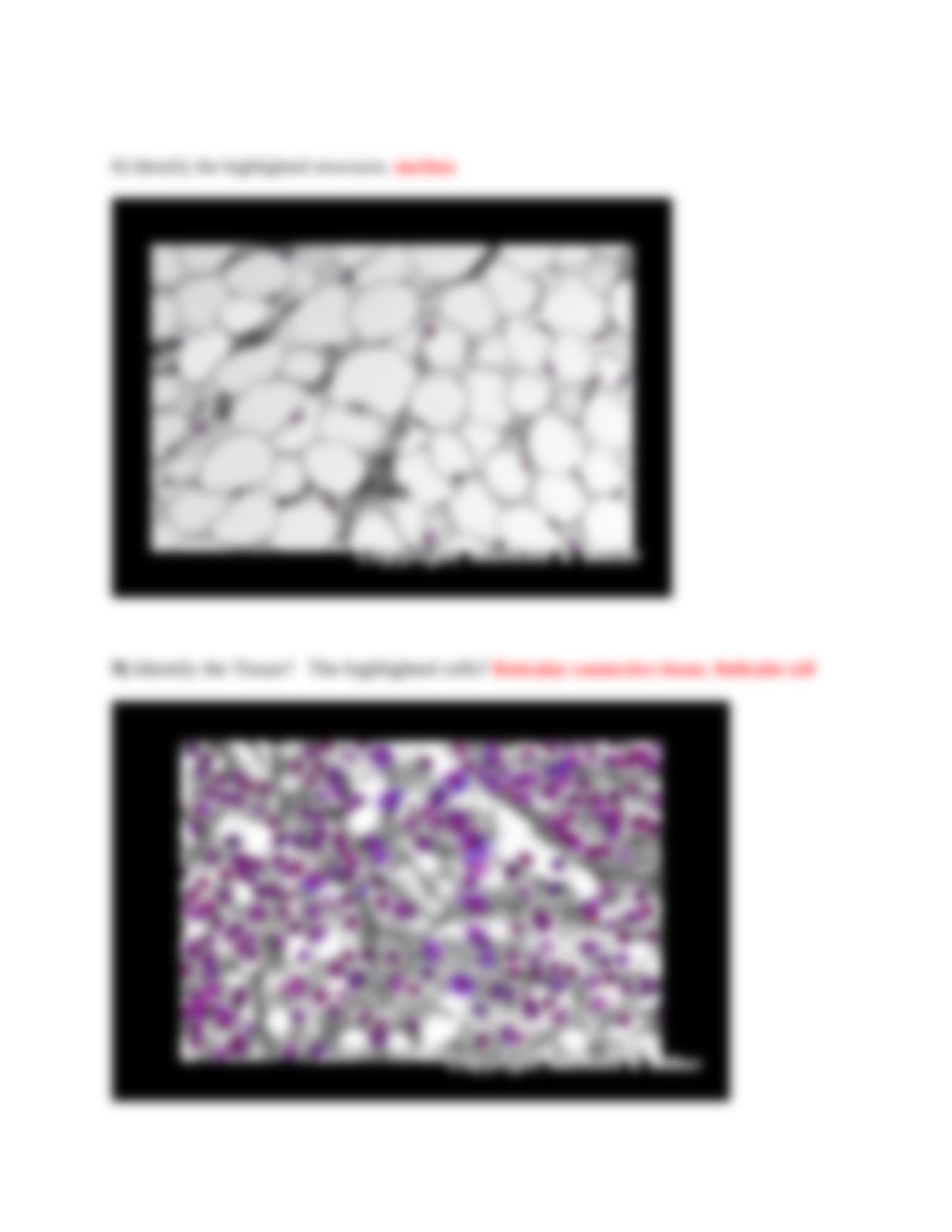 01_cell_and_tissue_identification_.docx_d7dpih5gjyx_page5