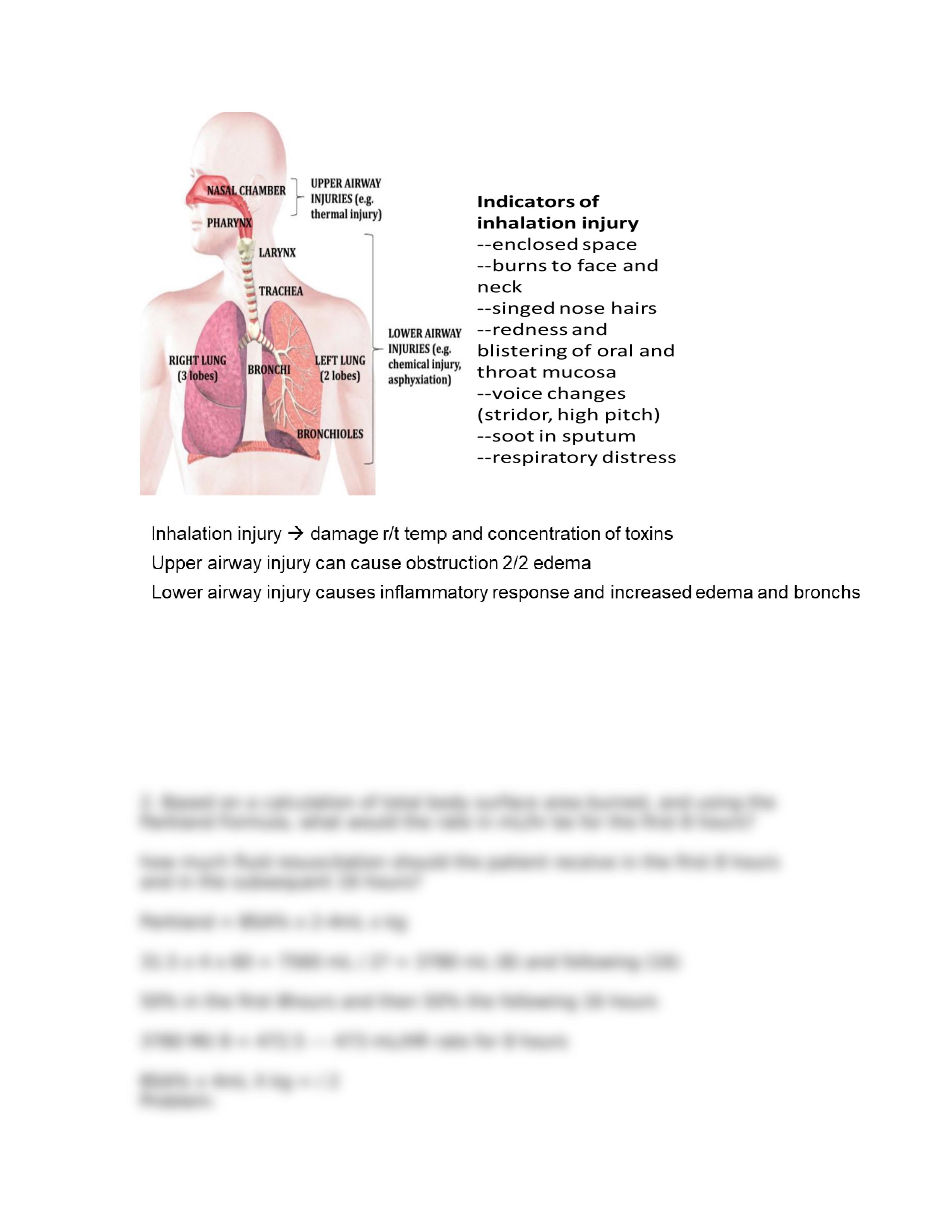 Burns Case Study.docx_d7fcpfj628l_page2