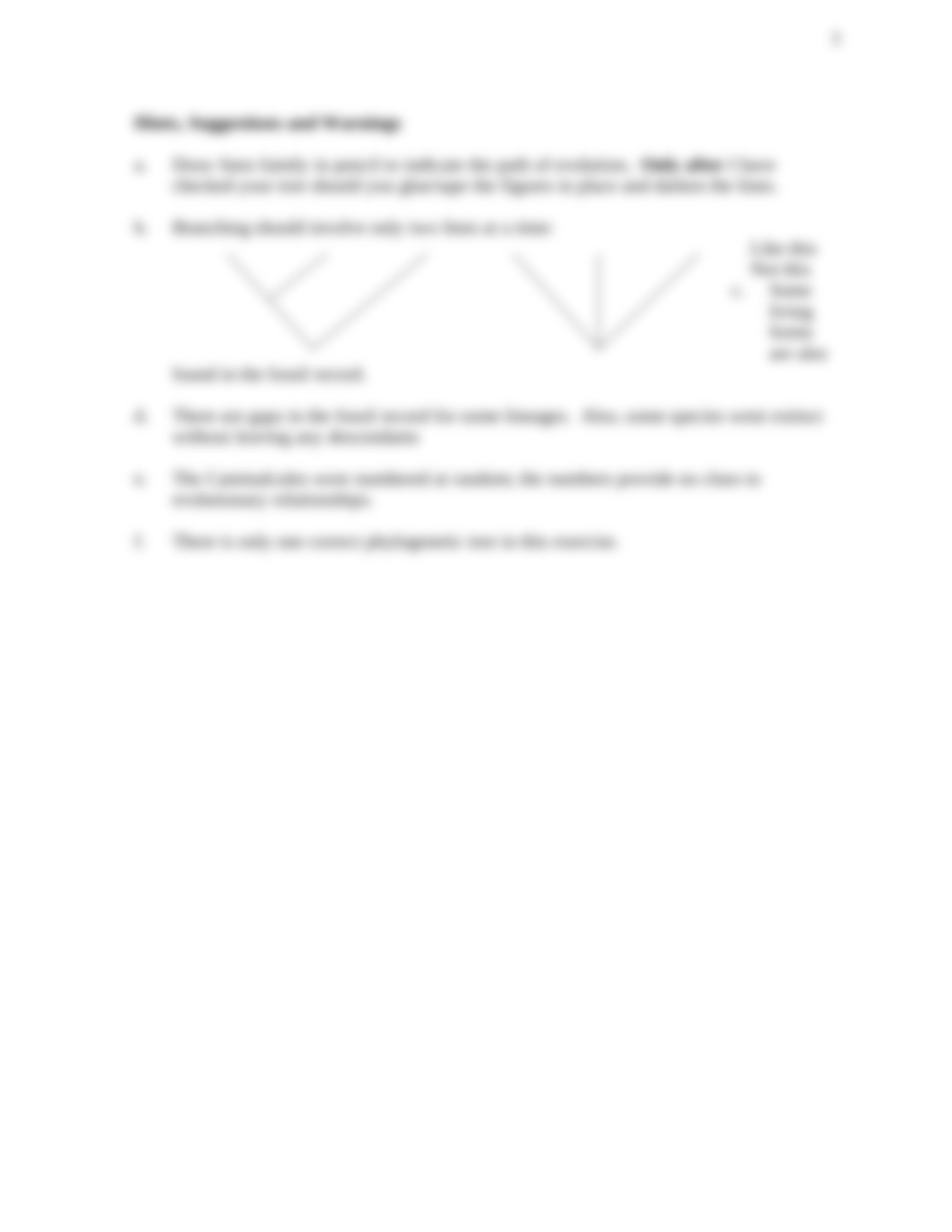 Phylogeny of Caminalcules_d7fofnufxvd_page3