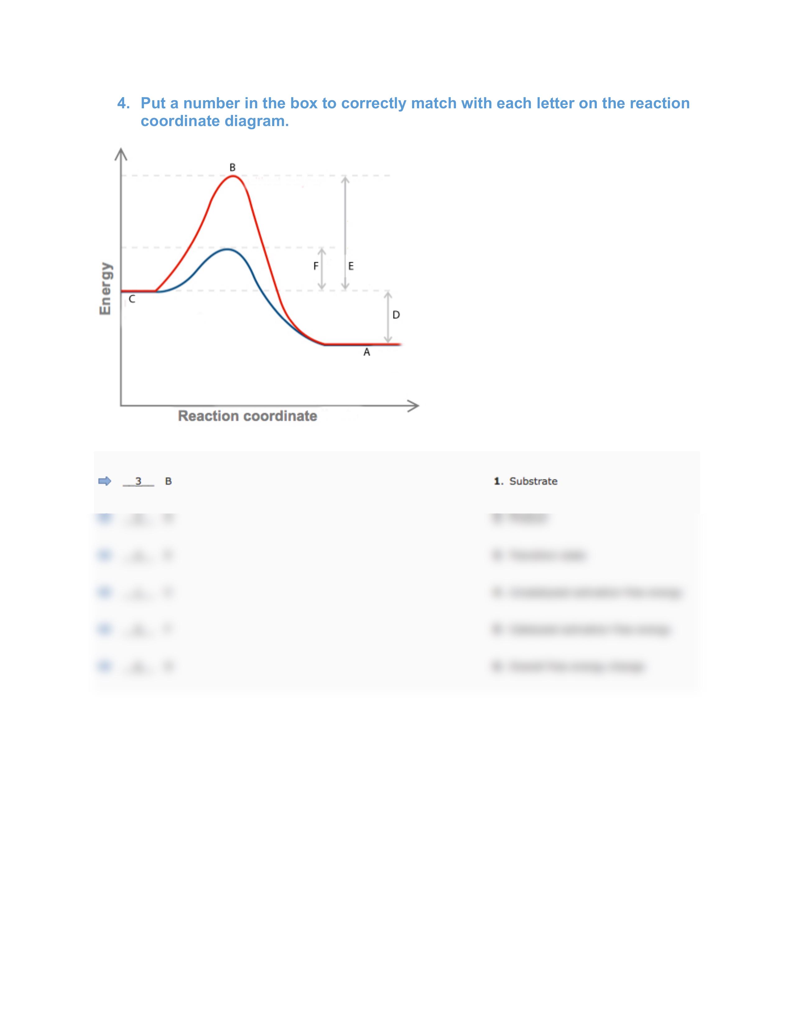 Bioc384_Fall2016_Homework4_Key_d7j80kzb8n7_page2