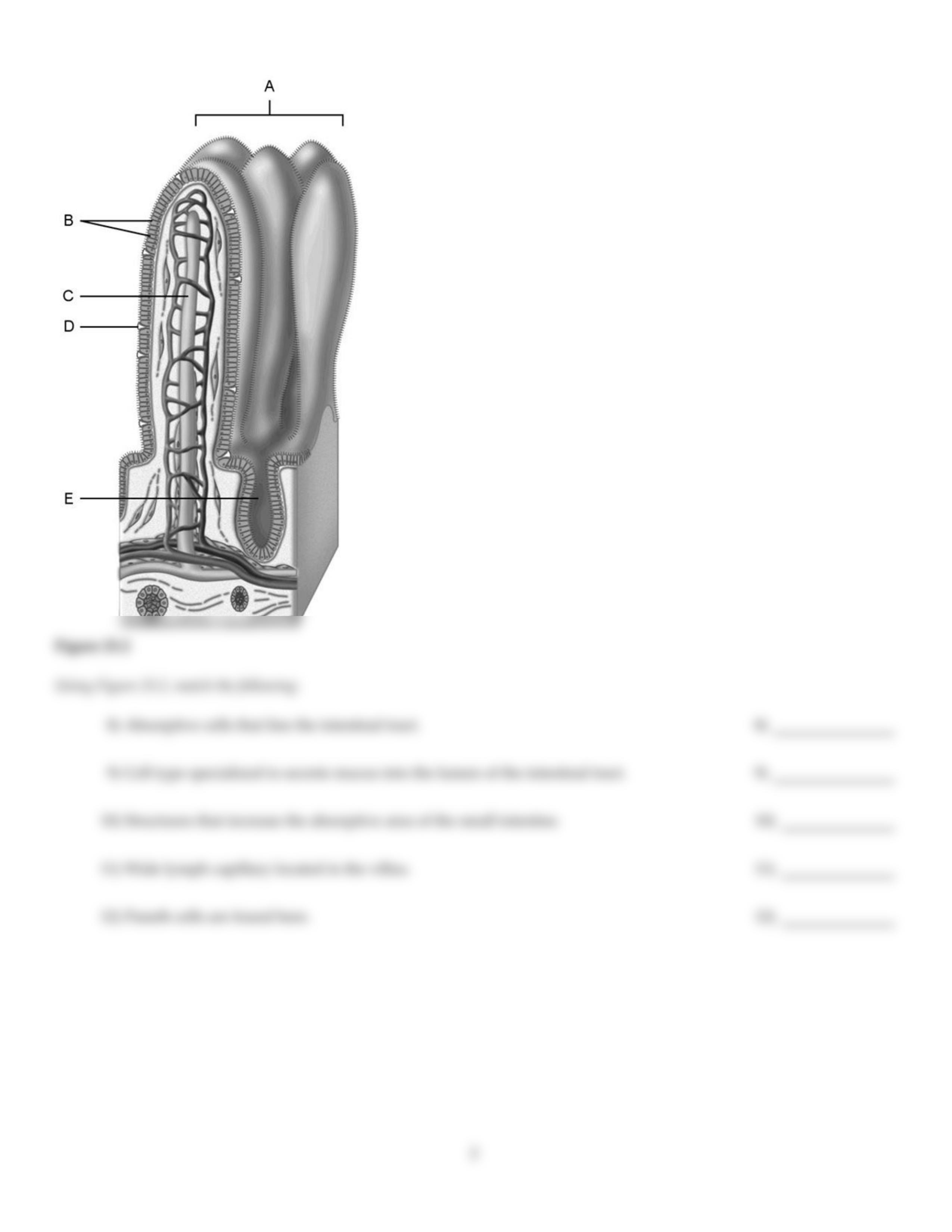 Untitled23[1].pdf_d7kodxst97m_page2