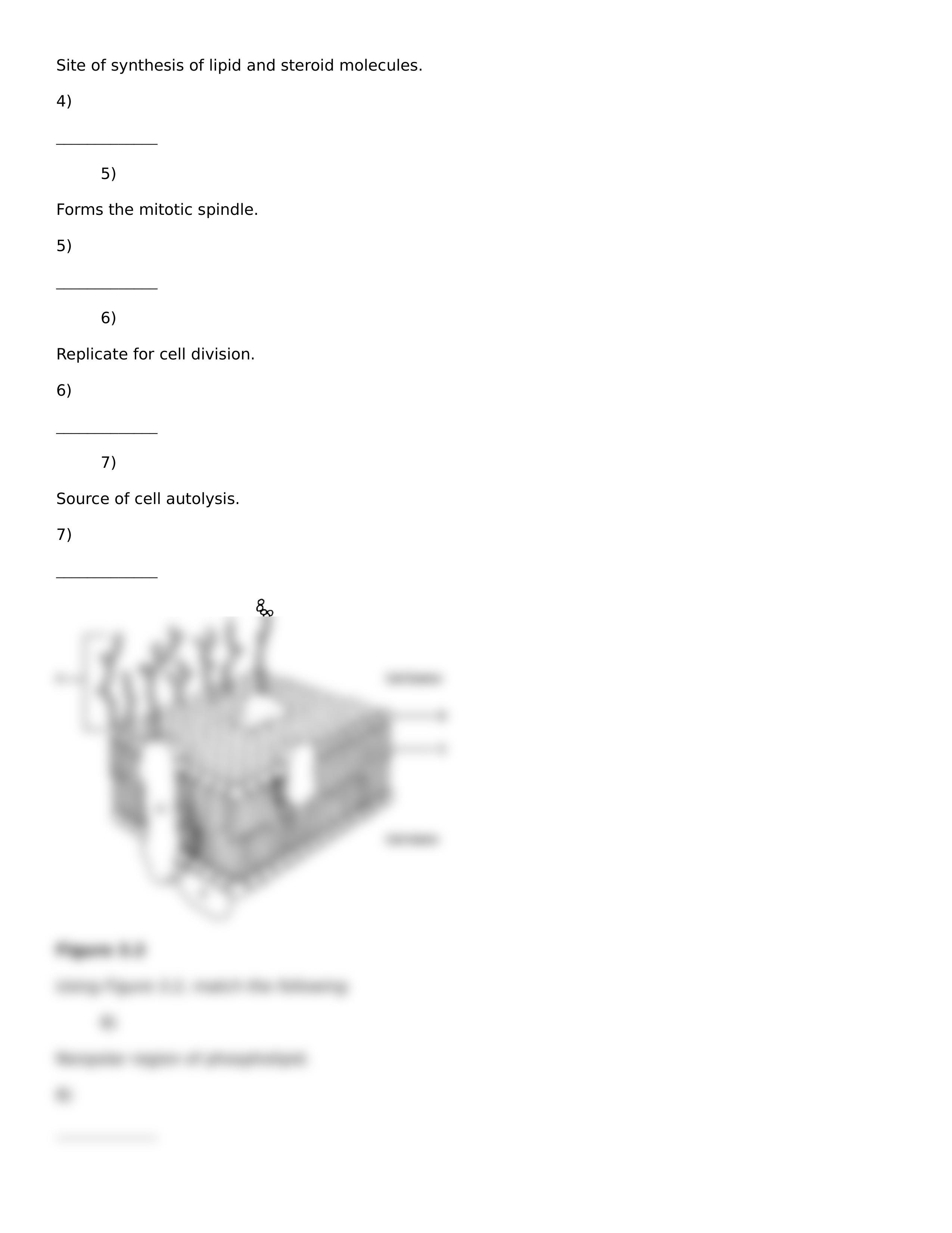 3 chapter tb_d7kydq5owji_page2