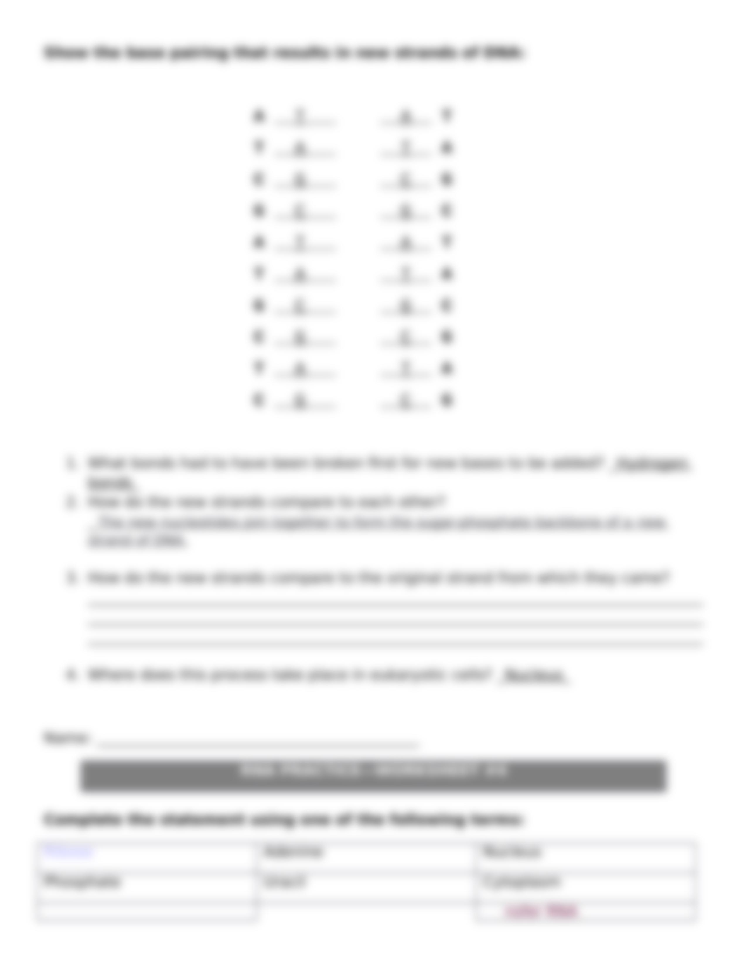 DNA, Replication, and Transcription Review-1.docx_d7nd906zbfi_page3