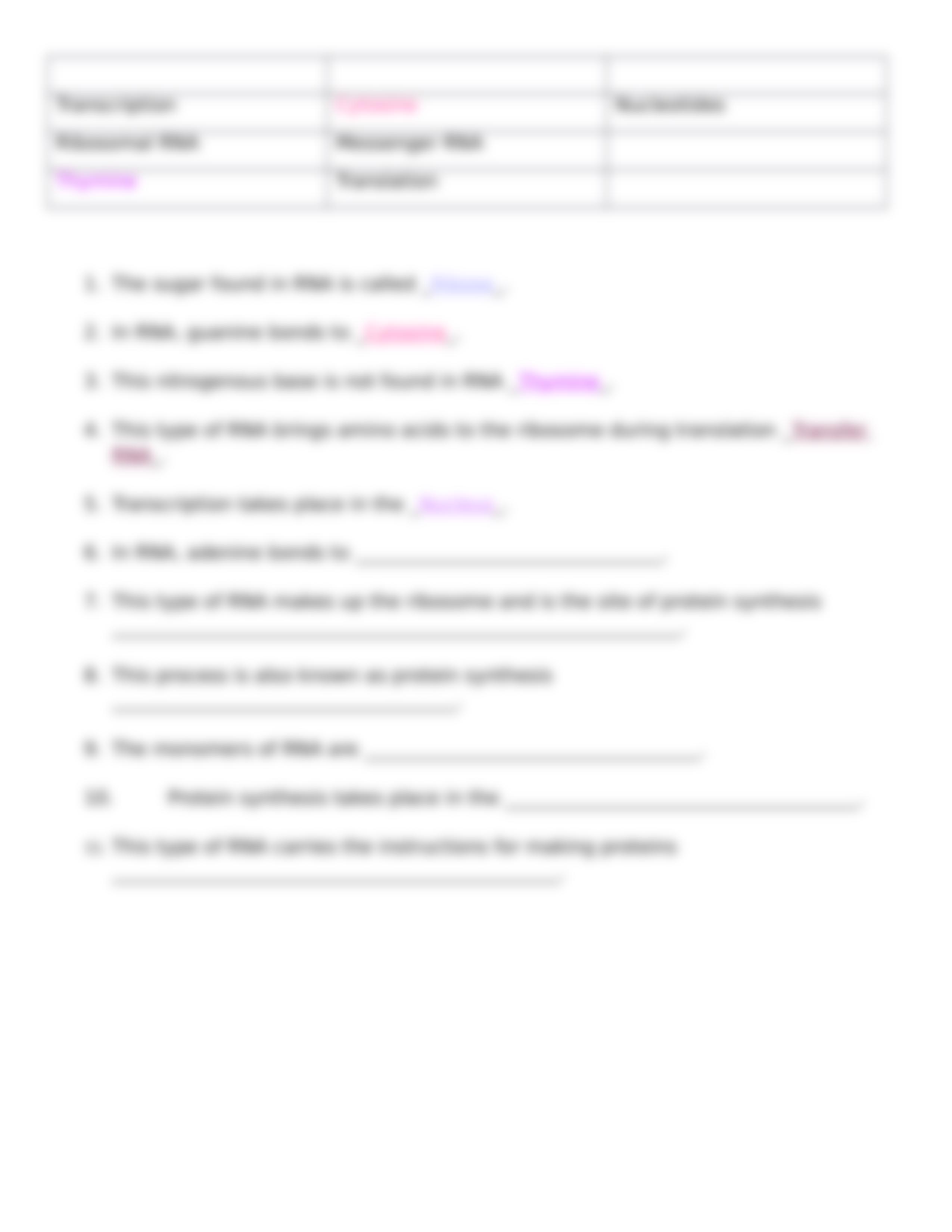 DNA, Replication, and Transcription Review-1.docx_d7nd906zbfi_page4