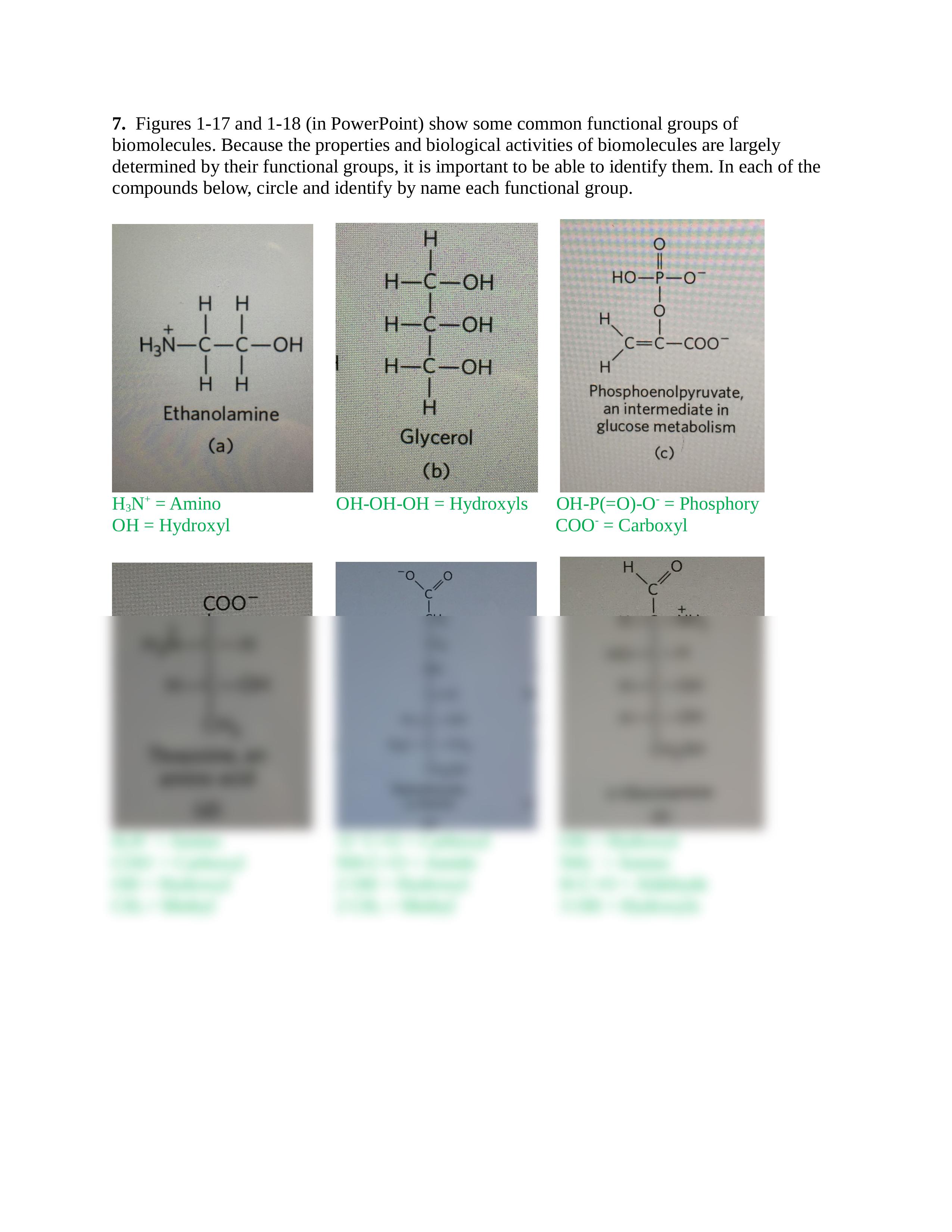 Biochem Exam 1 book questions.docx_d7nddjp2kie_page2