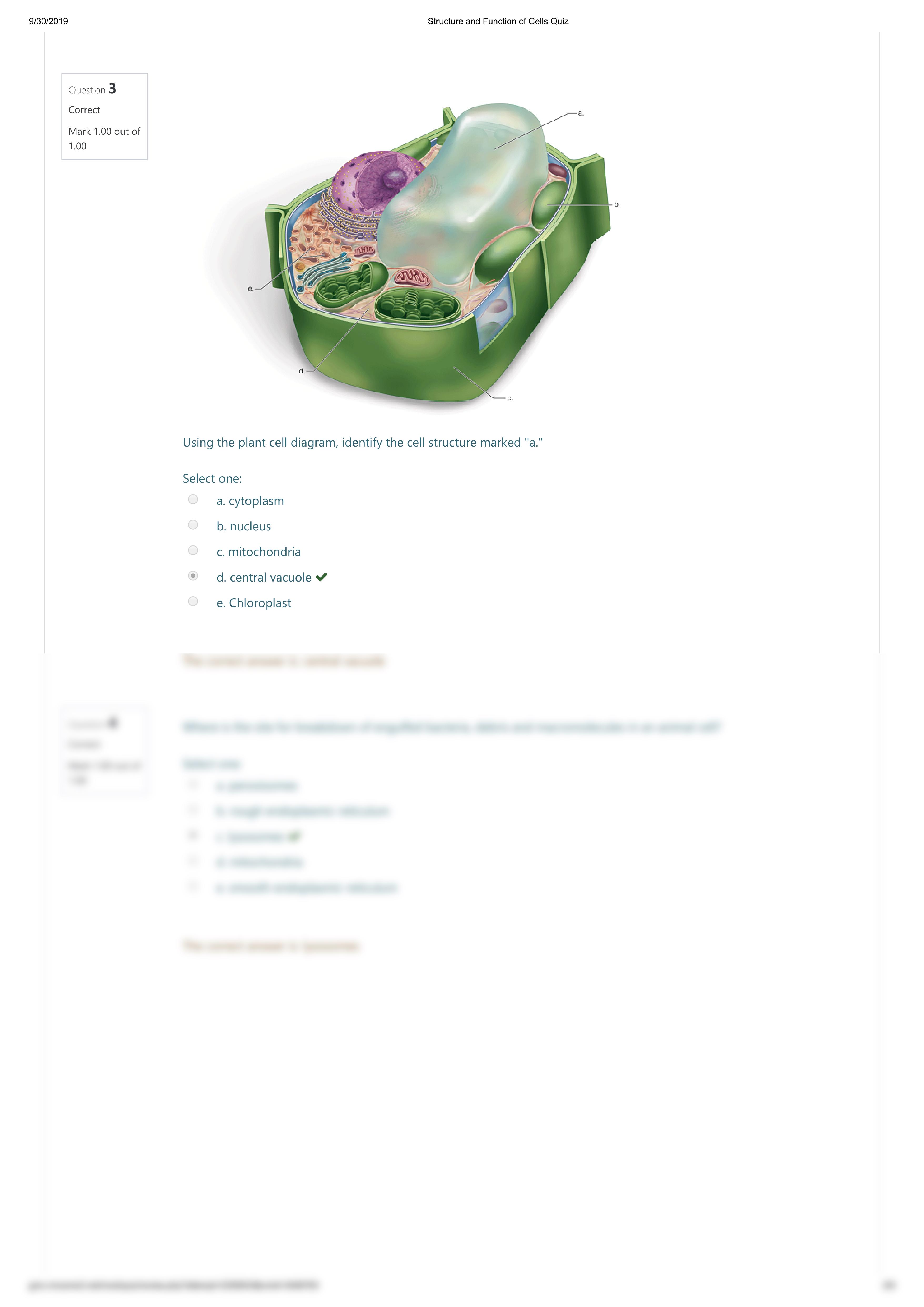 Structure and Function of Cells Quiz.pdf_d7v8budv6kh_page2