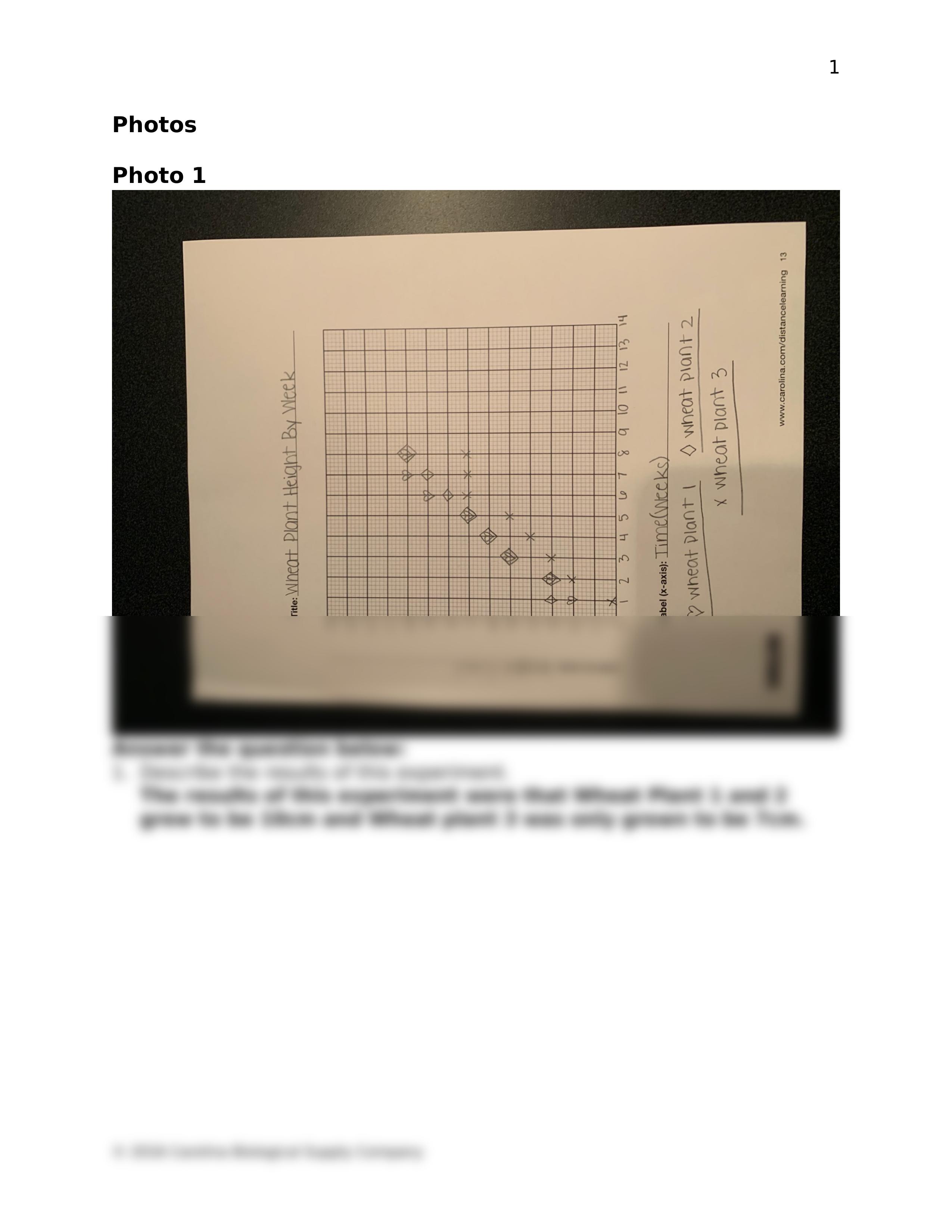 Lab 1 Questions.docx_d803bb1h6zy_page2