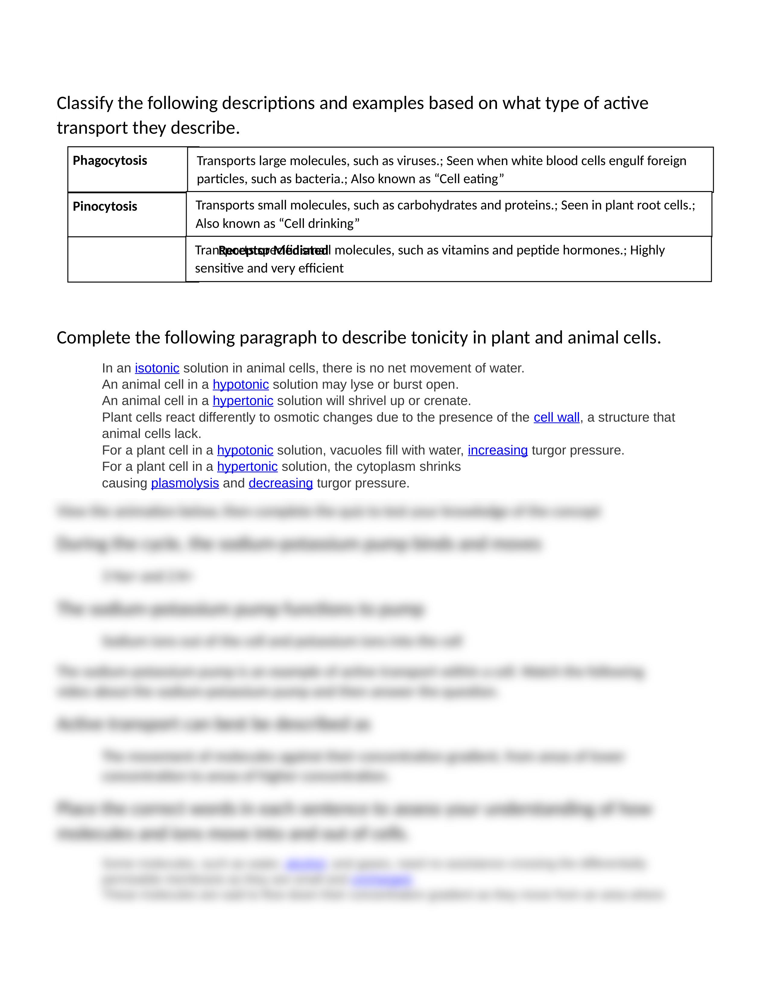 Chapter 5 Quiz.docx_d817ckymhgp_page2