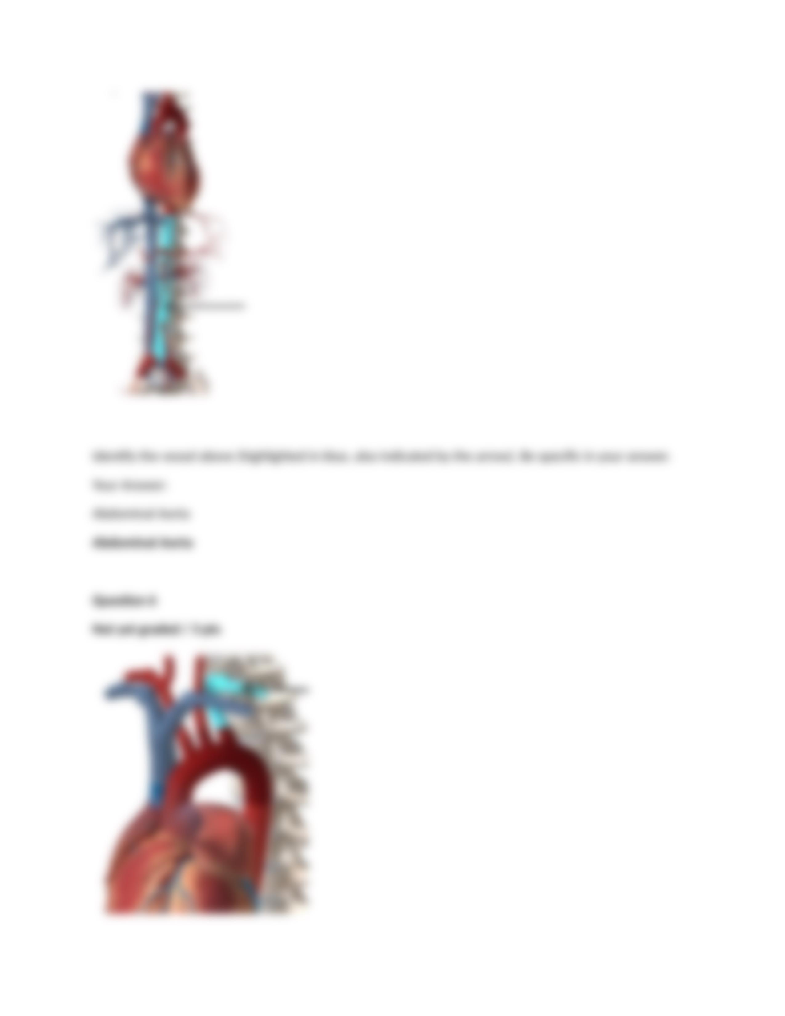 Lab 4 Exam.docx_d851g5darxl_page4