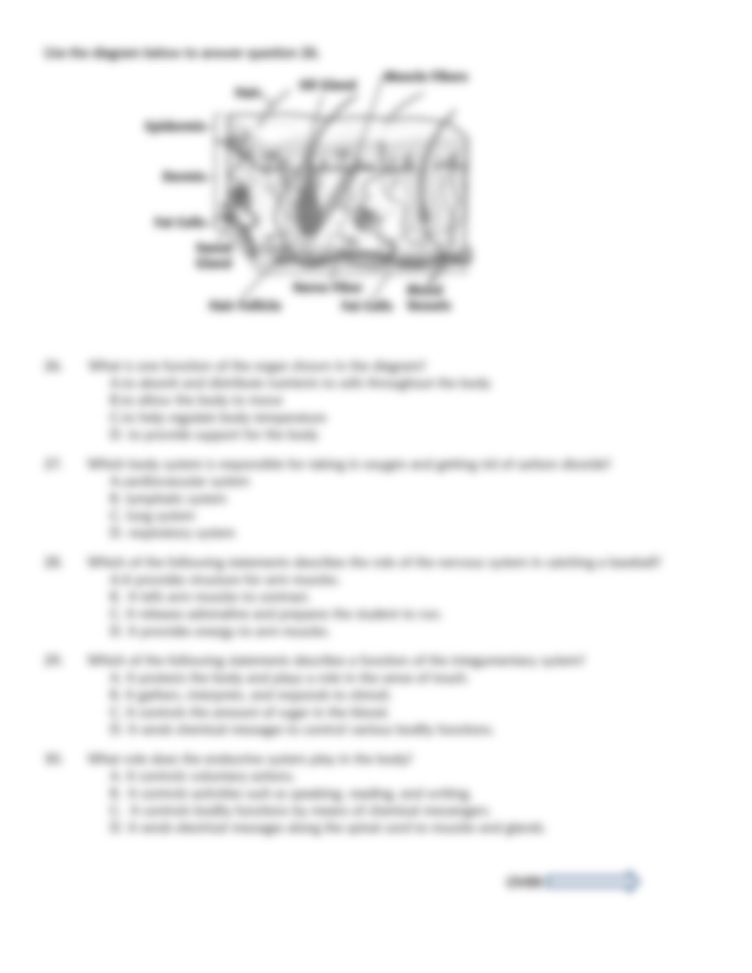 human-body-questions-worksheet-7.pdf_d8858zk5cdf_page5