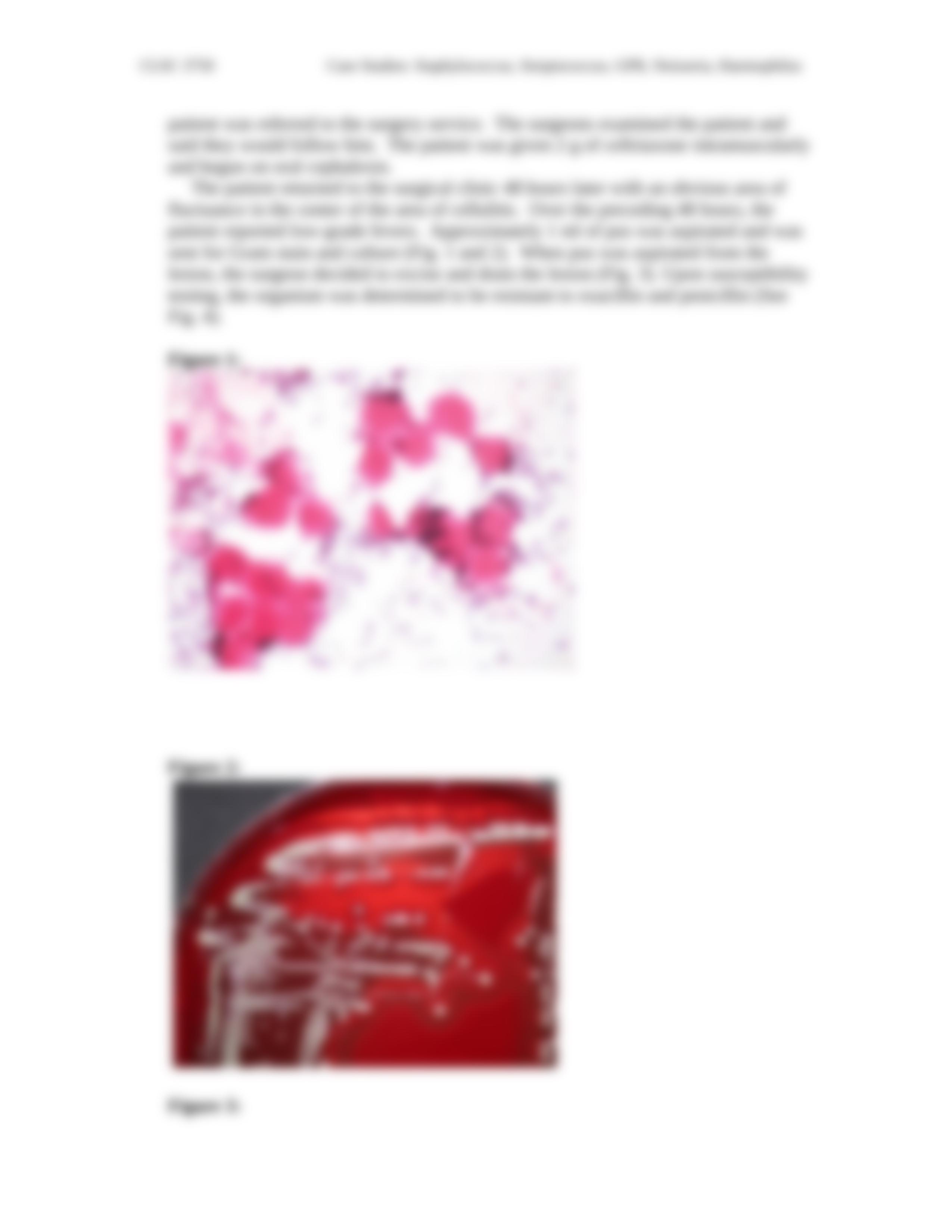 Case Set 1 (Staph, Strep, GPR, NSP, and Haem cases)_d897uw4fazb_page5