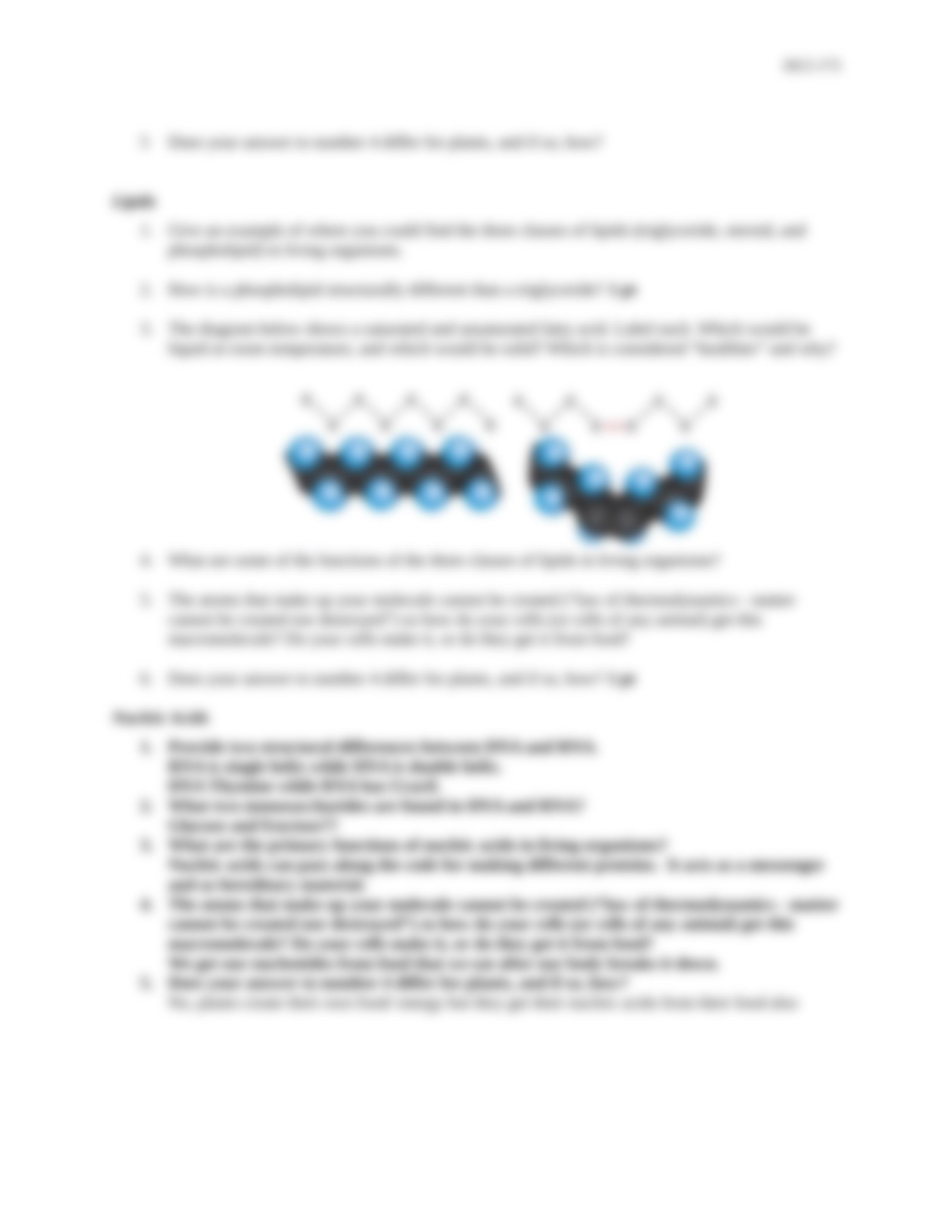 Assignm 1 - Macromolecules Jigsaw 04_d8cuu0zb2mr_page3