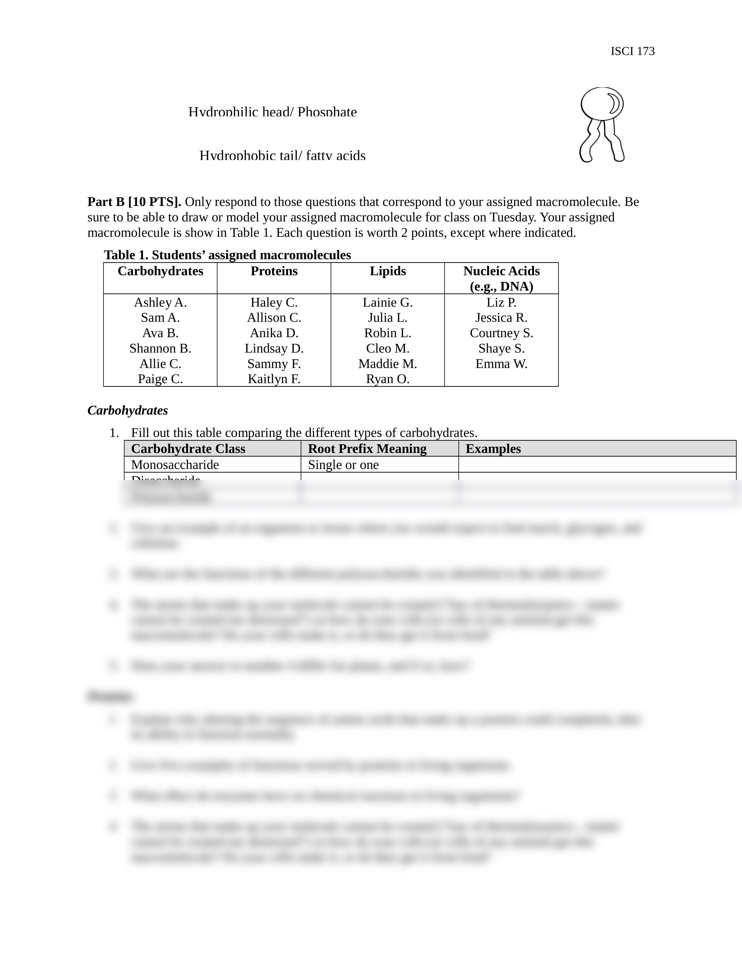 Assignm 1 - Macromolecules Jigsaw 04_d8cuu0zb2mr_page2