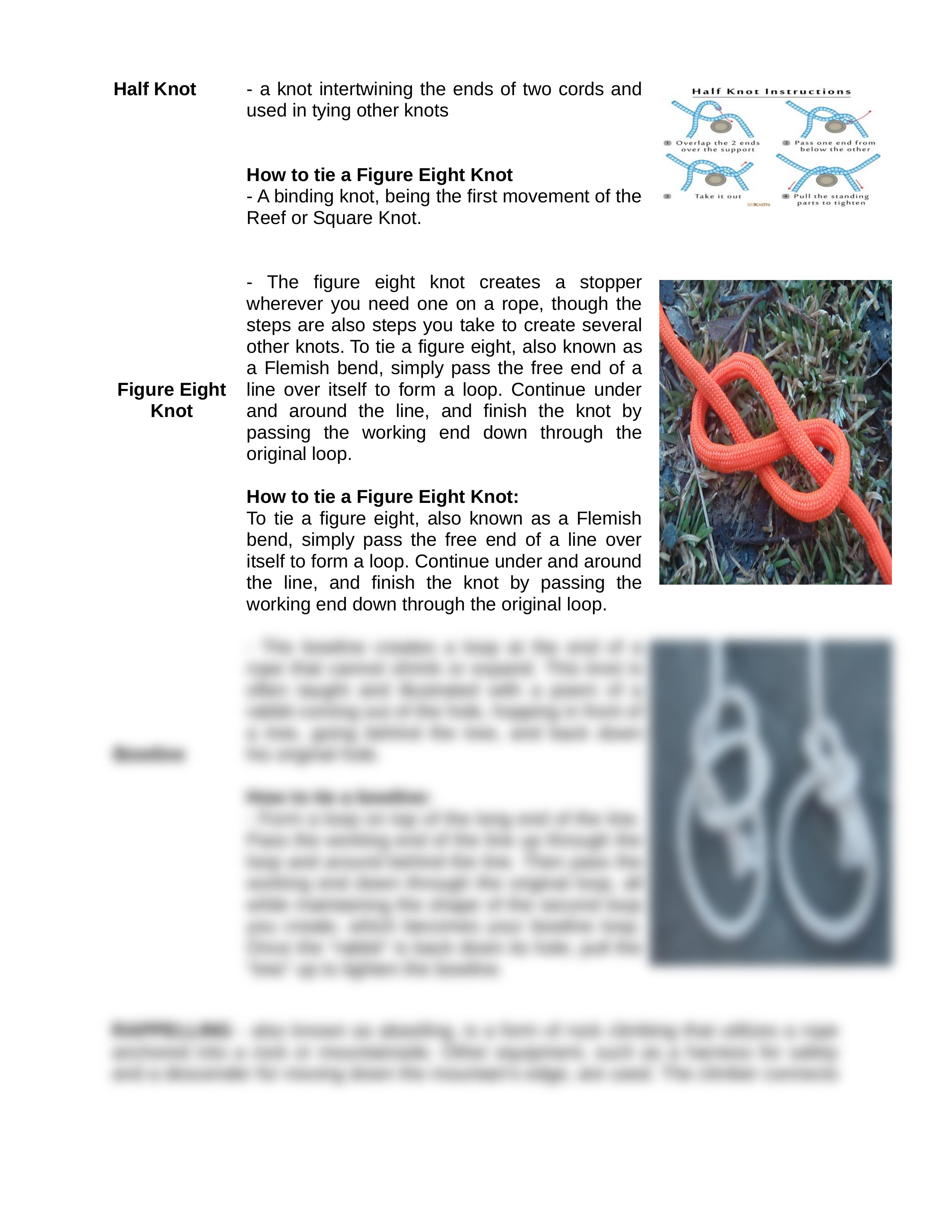 5 Rope Techniques 1.docx_d8e57ttrx3t_page2