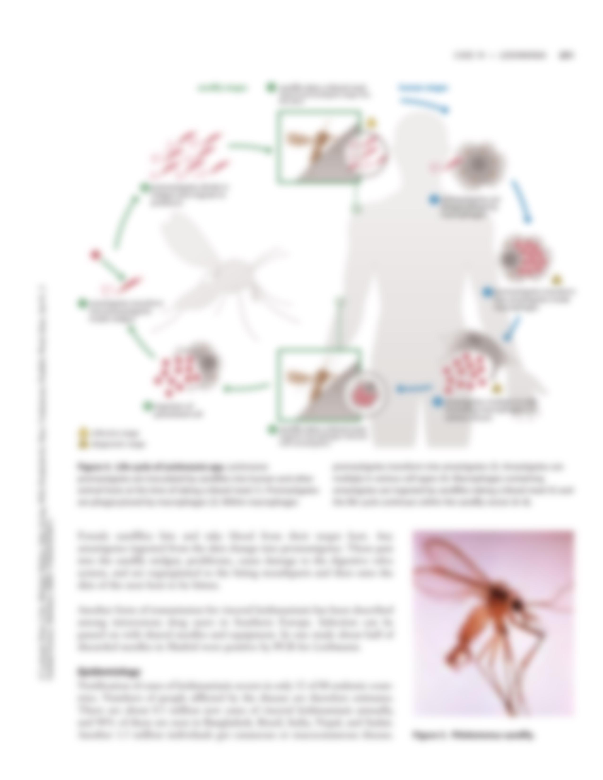 Case19 - Leishmania_d8ehxt5ksqq_page3