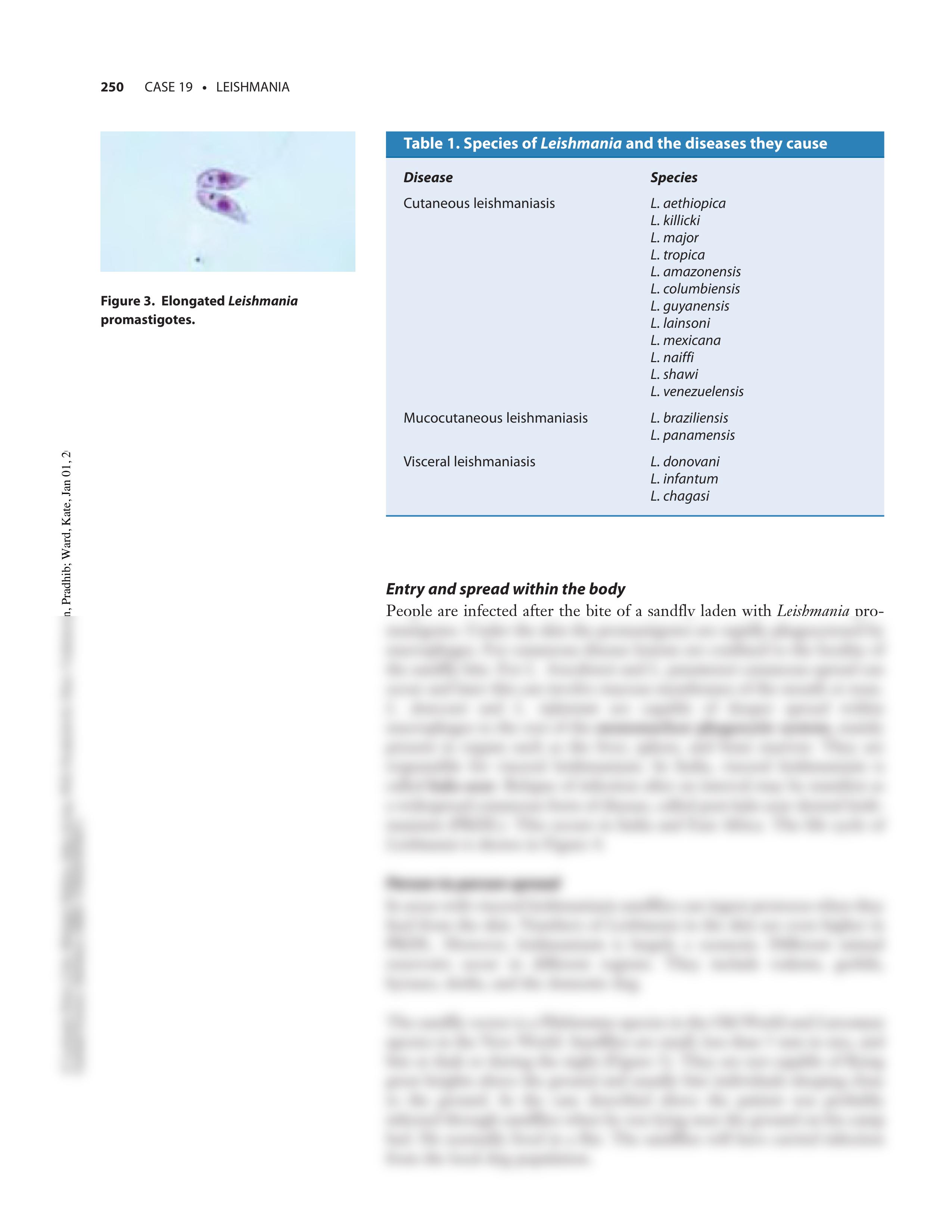 Case19 - Leishmania_d8ehxt5ksqq_page2