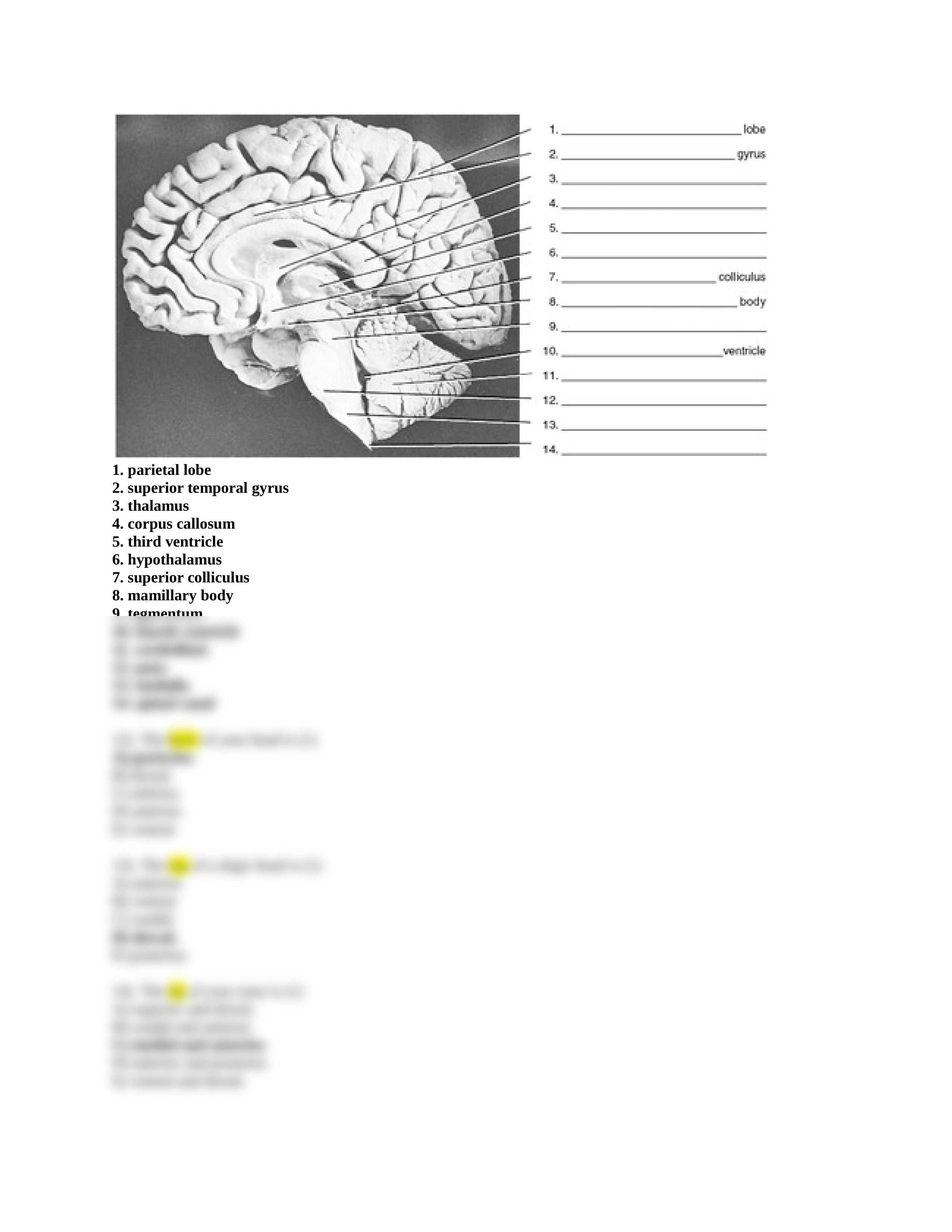 Quiz 4_d8gvjxo4diy_page2