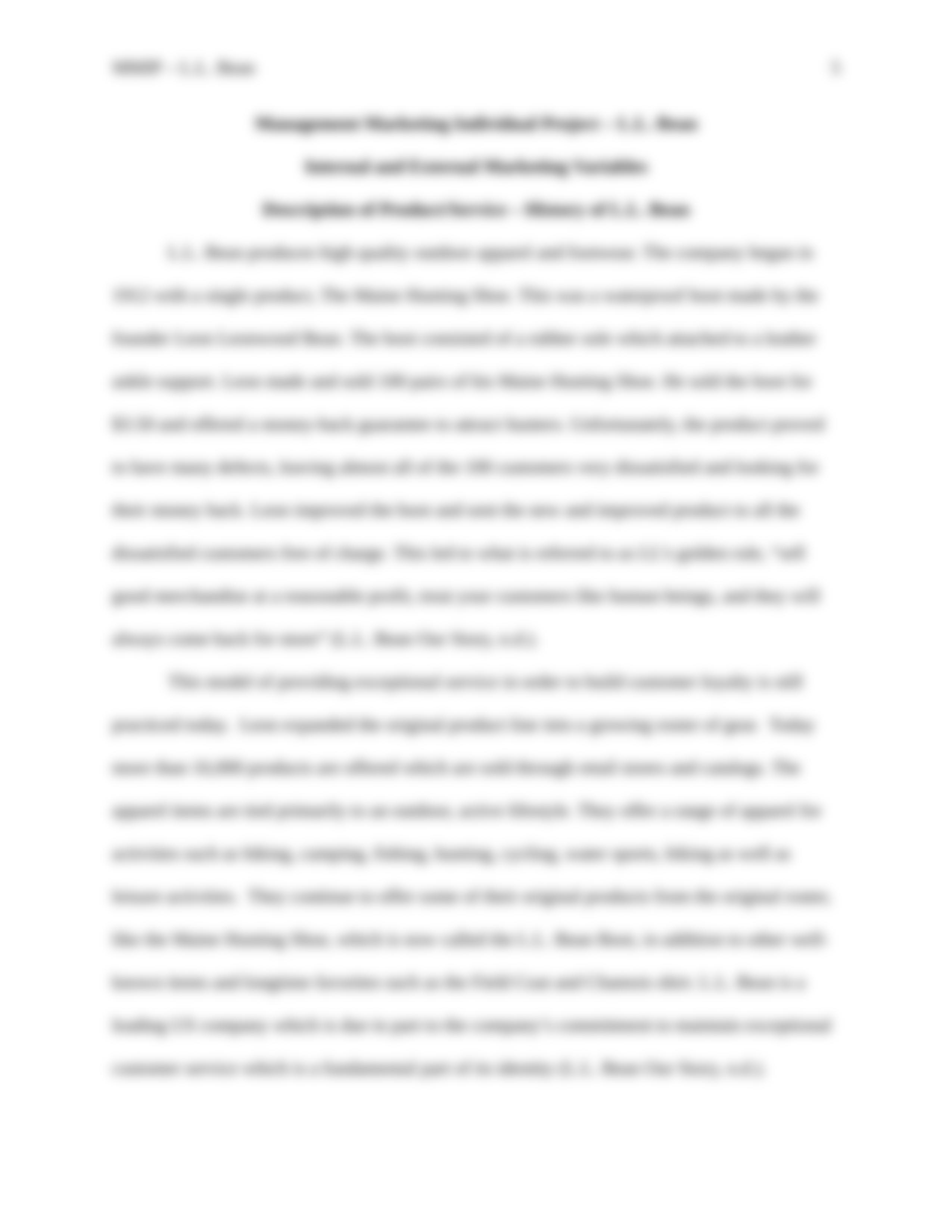 BUSI 520 - MMIP Final Project.docx_d8itn6ujb70_page5