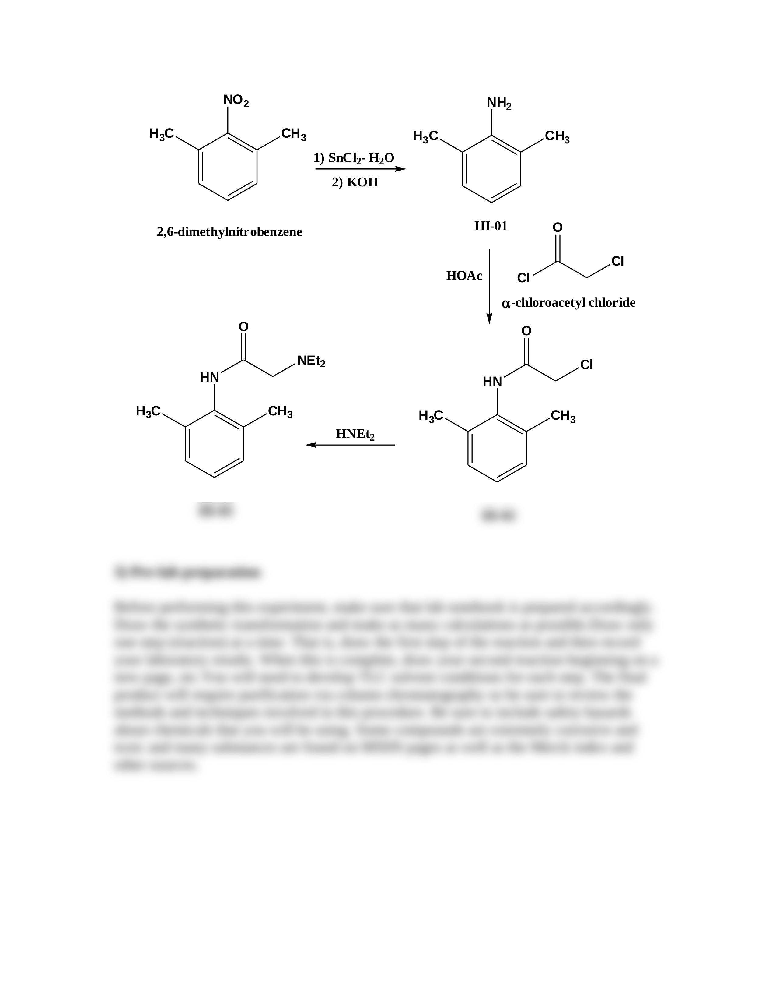 Experiment III-143B(1)_d8jmjce14ln_page2