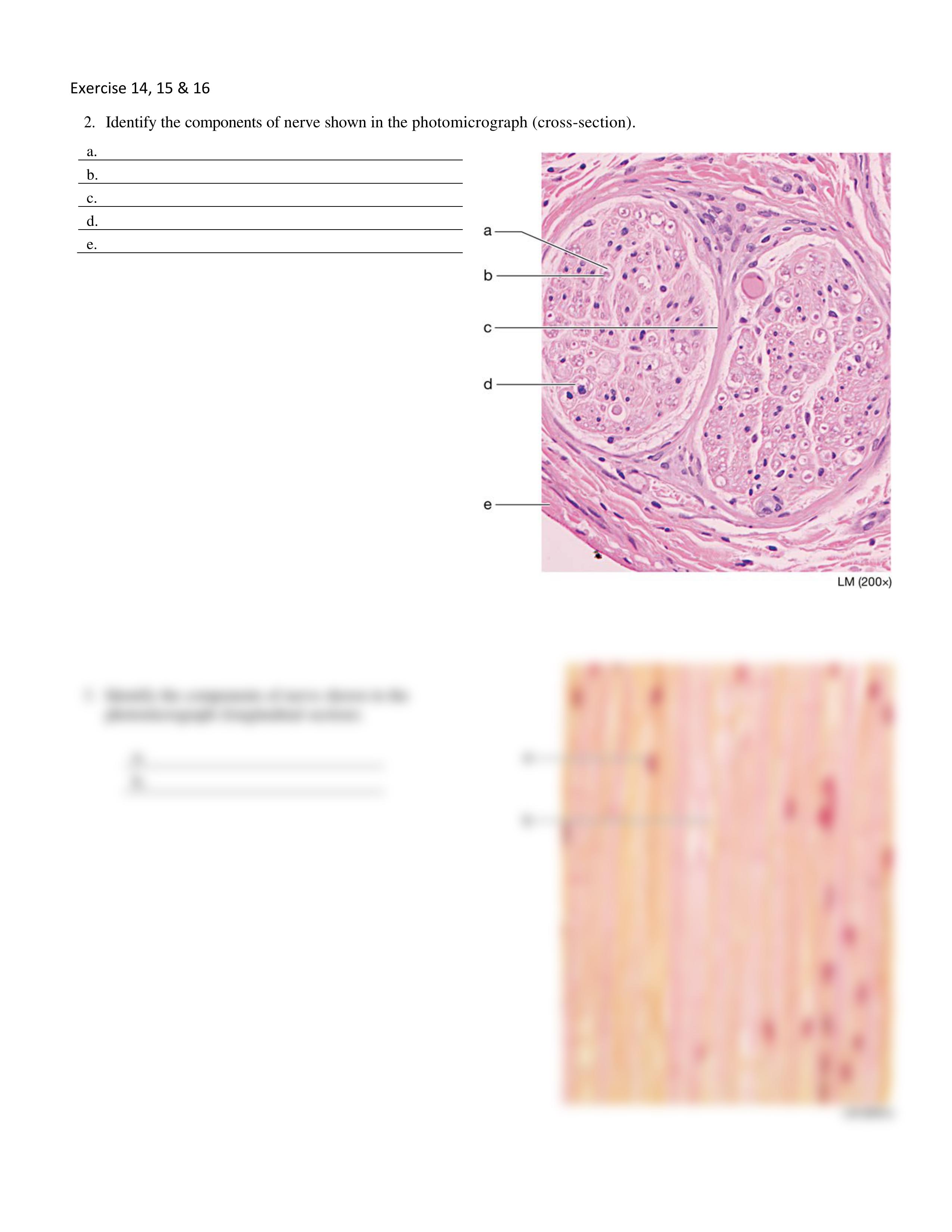 8. Unit 8 laboratory exercise 14, 15, & 16 EDIT.pdf_d8ksyxdfec8_page2