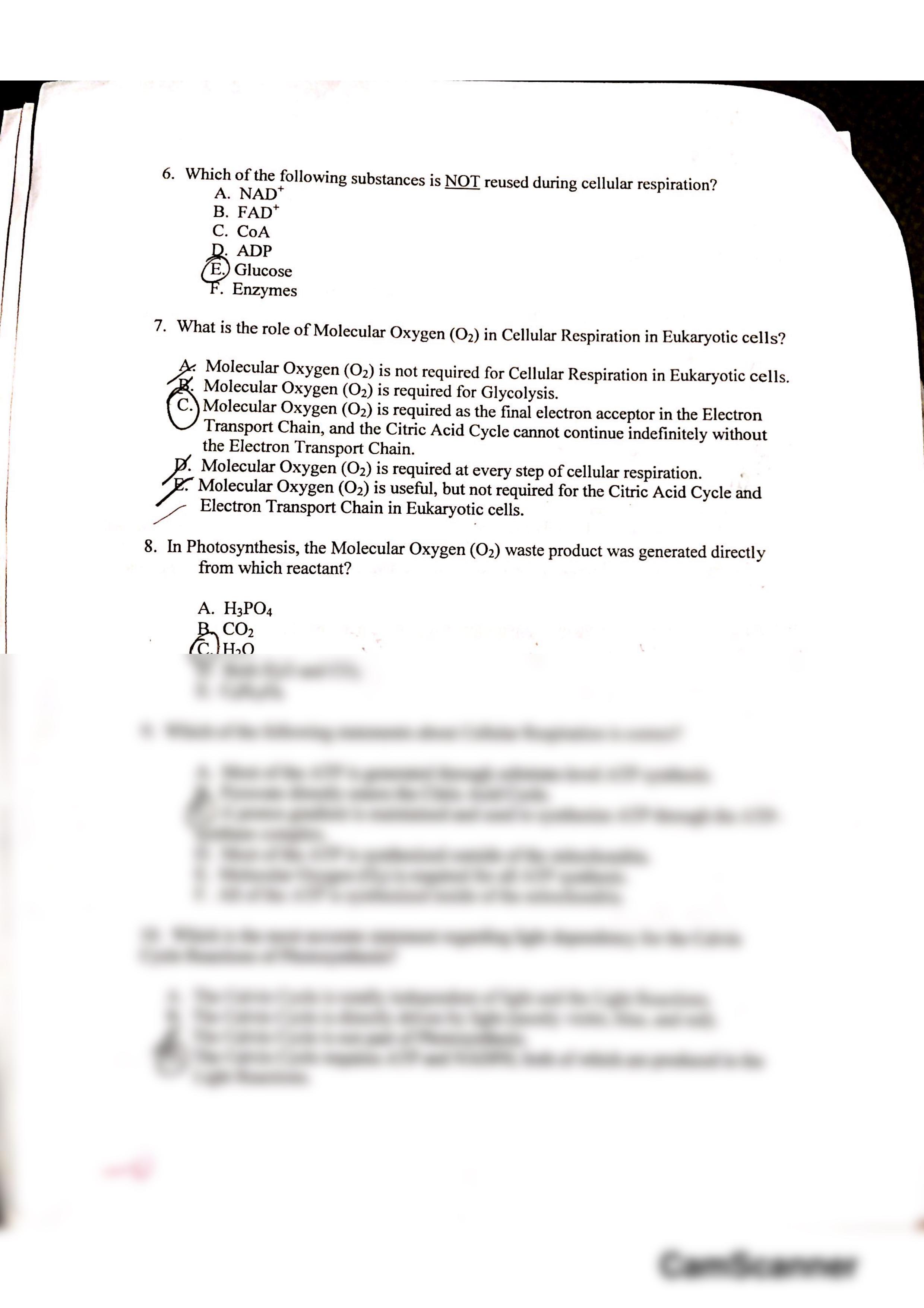 Bio 110 Exam 2_d8m7xw3s09z_page2