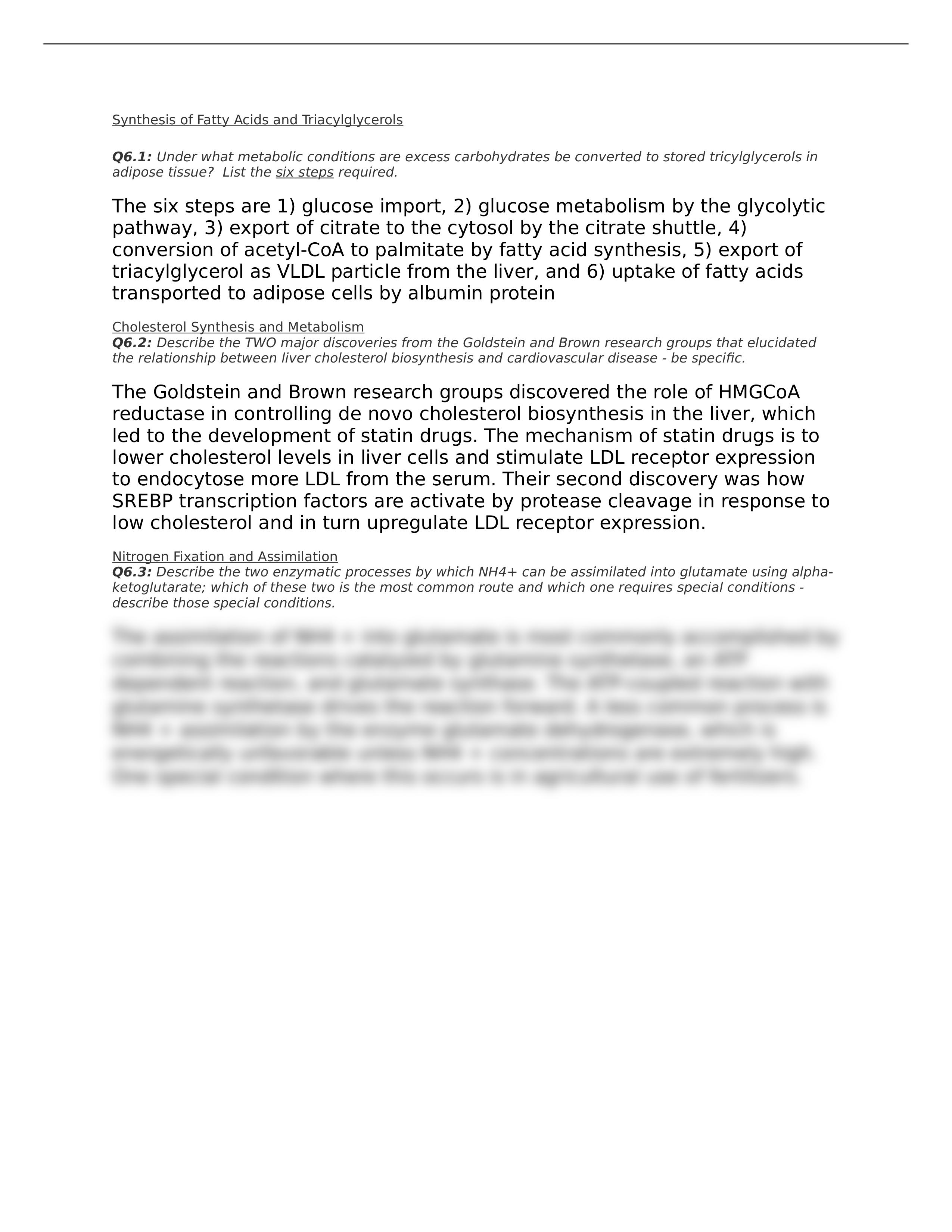 Synthesis of Fatty Acids and Triacylglycerols.docx_d8rdwlqlq57_page1