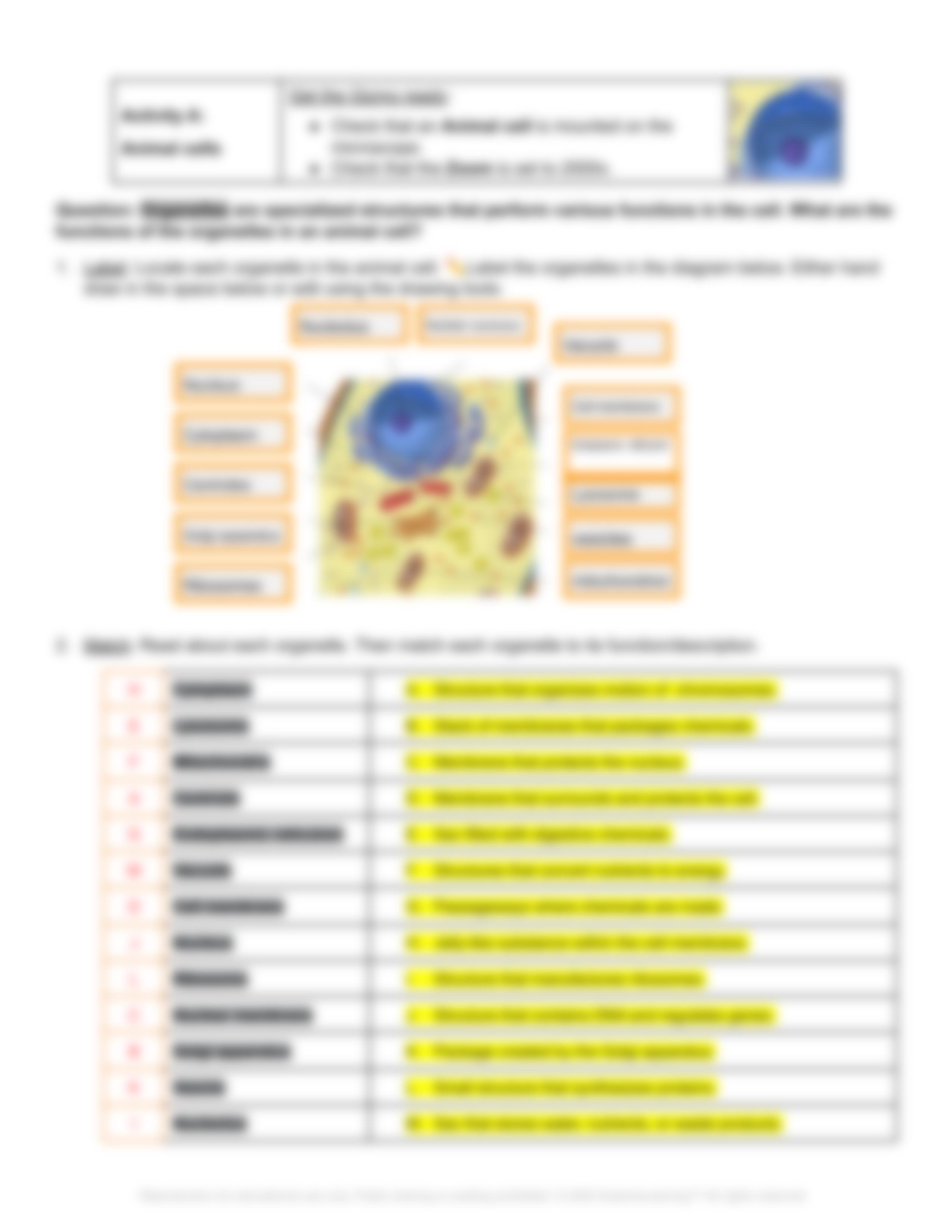 cell structure gizmo Lab Worksheet .pdf_d8s2ndm9vnu_page3