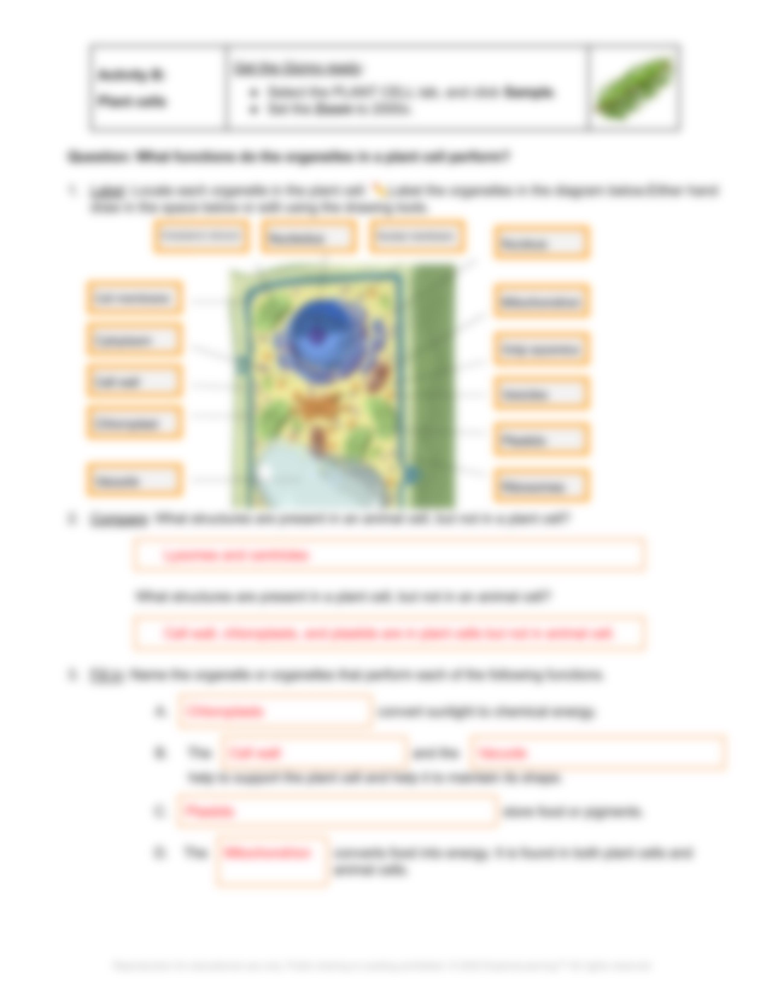 cell structure gizmo Lab Worksheet .pdf_d8s2ndm9vnu_page4