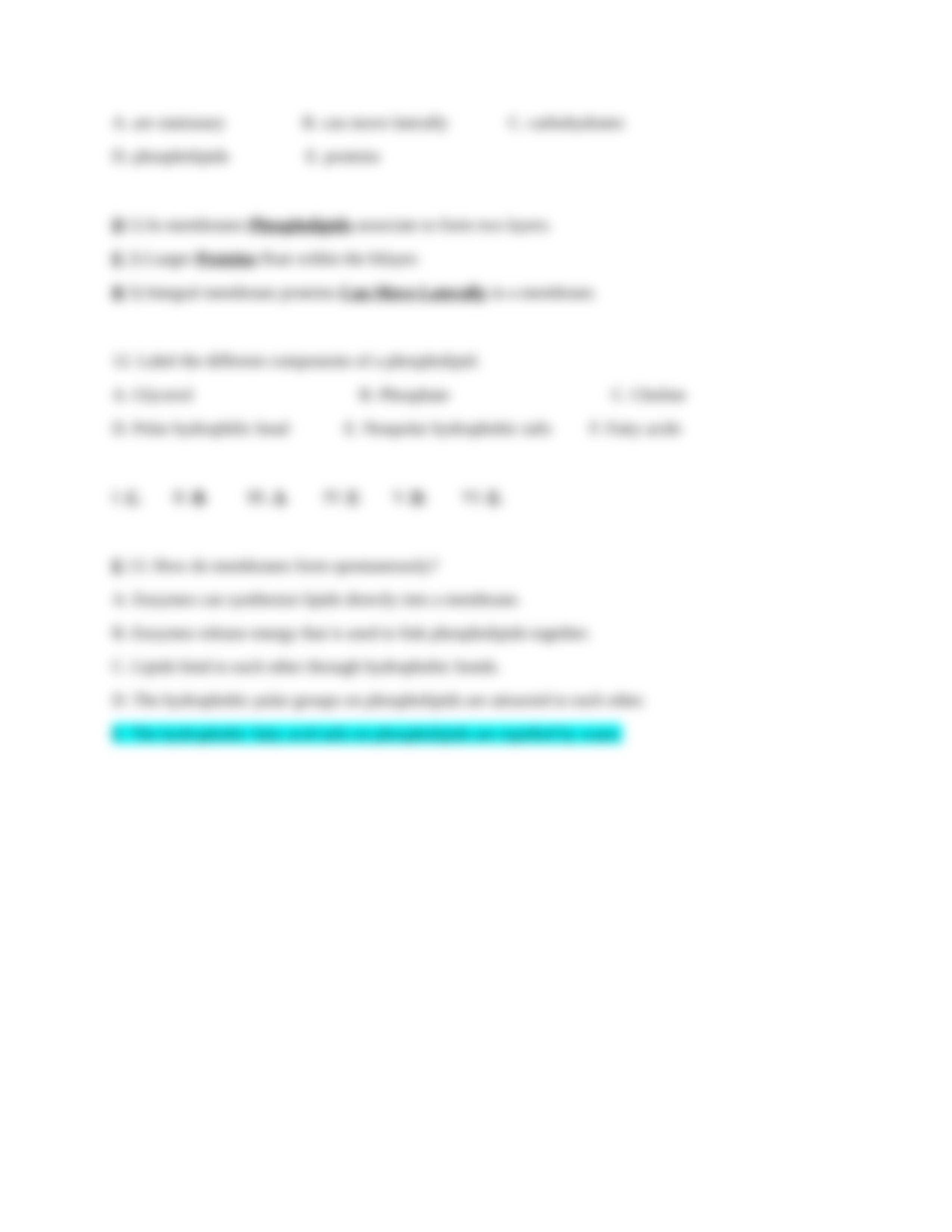 Bio 9.30.19.docx_d8t3dbv81vr_page4