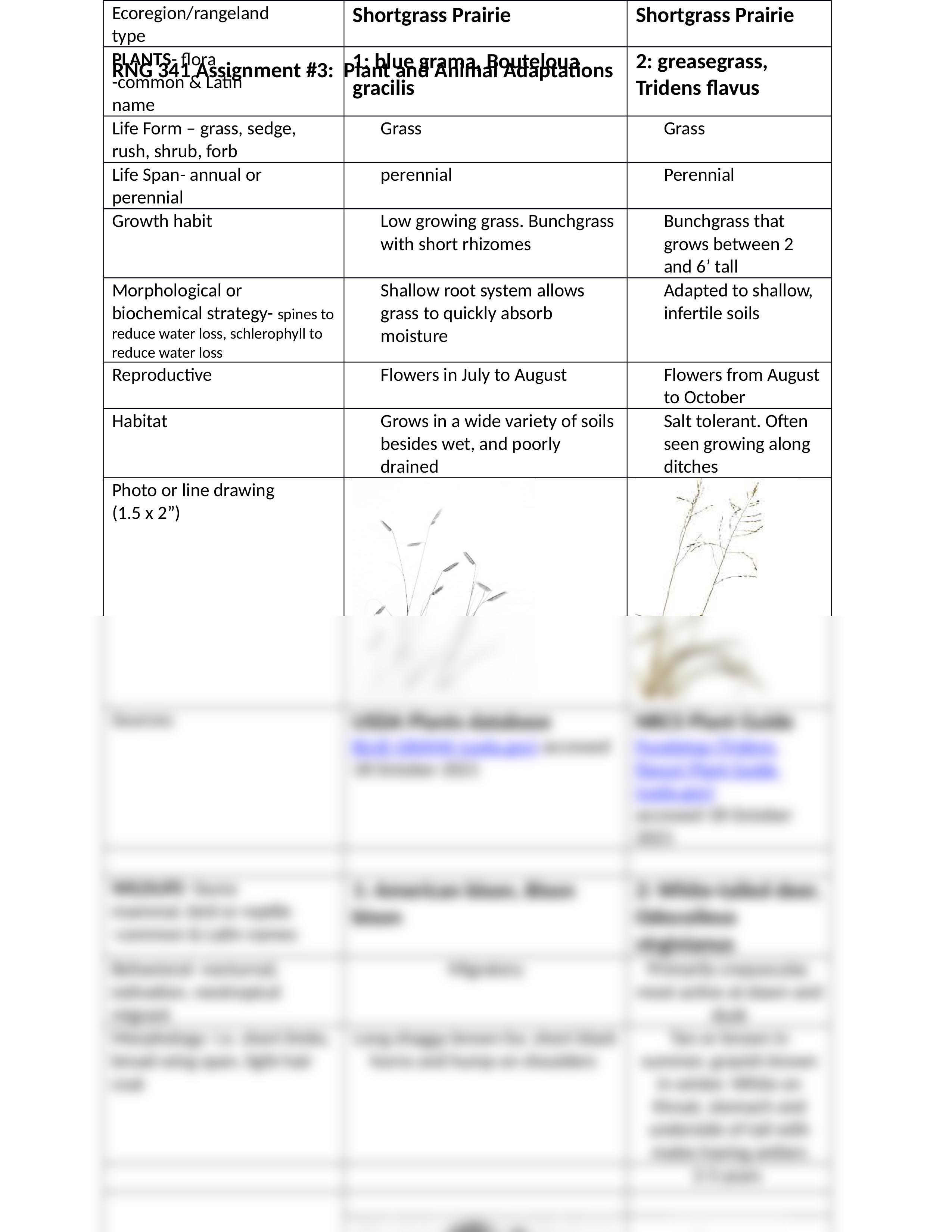 Assign 3- Plant & Animal Adaptations-1.docx_d8x91yemtl5_page2