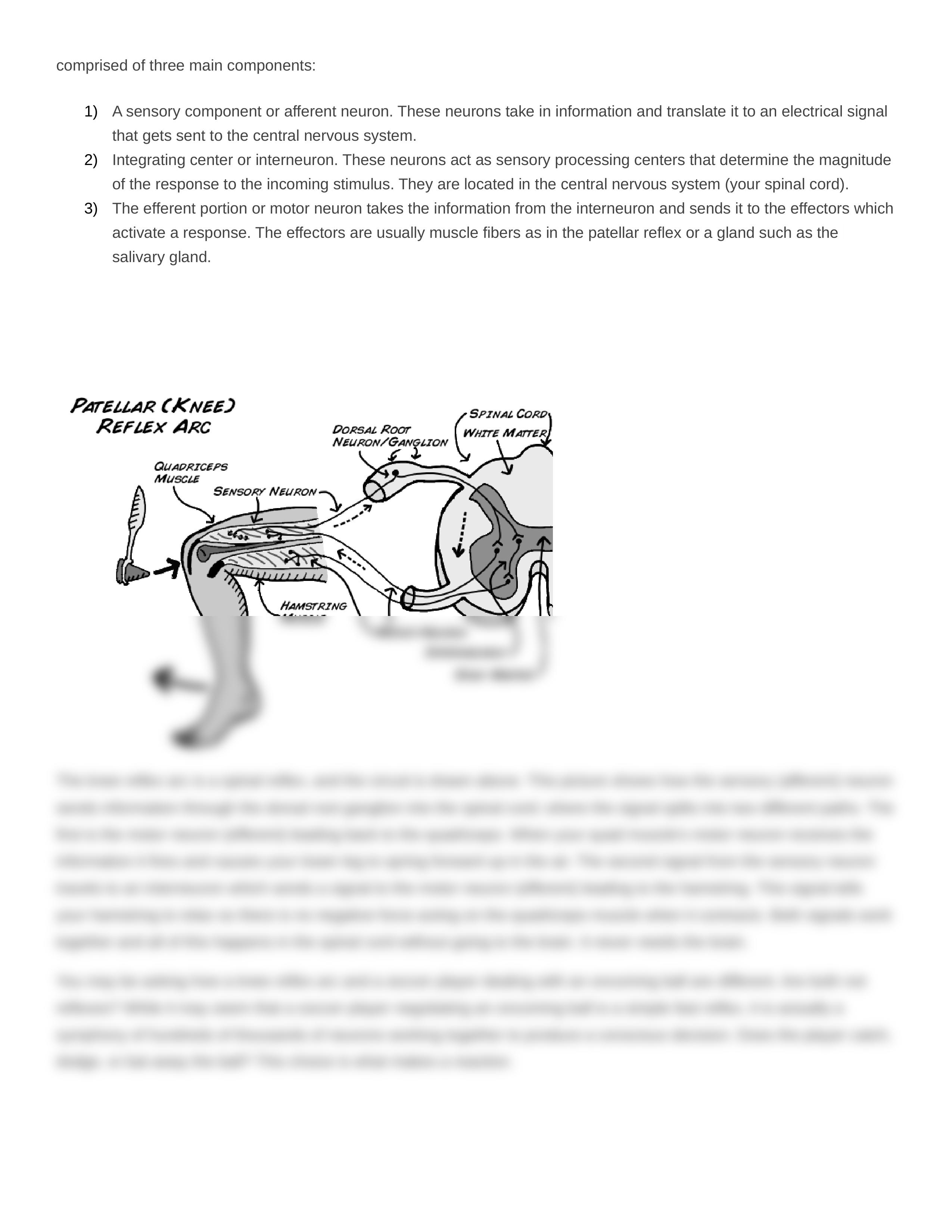 Isabella Marinello - 2019 CHARACTERISTICS OF LIVING THINGS: REACTION TIME LAB_d8xg1gik50z_page2