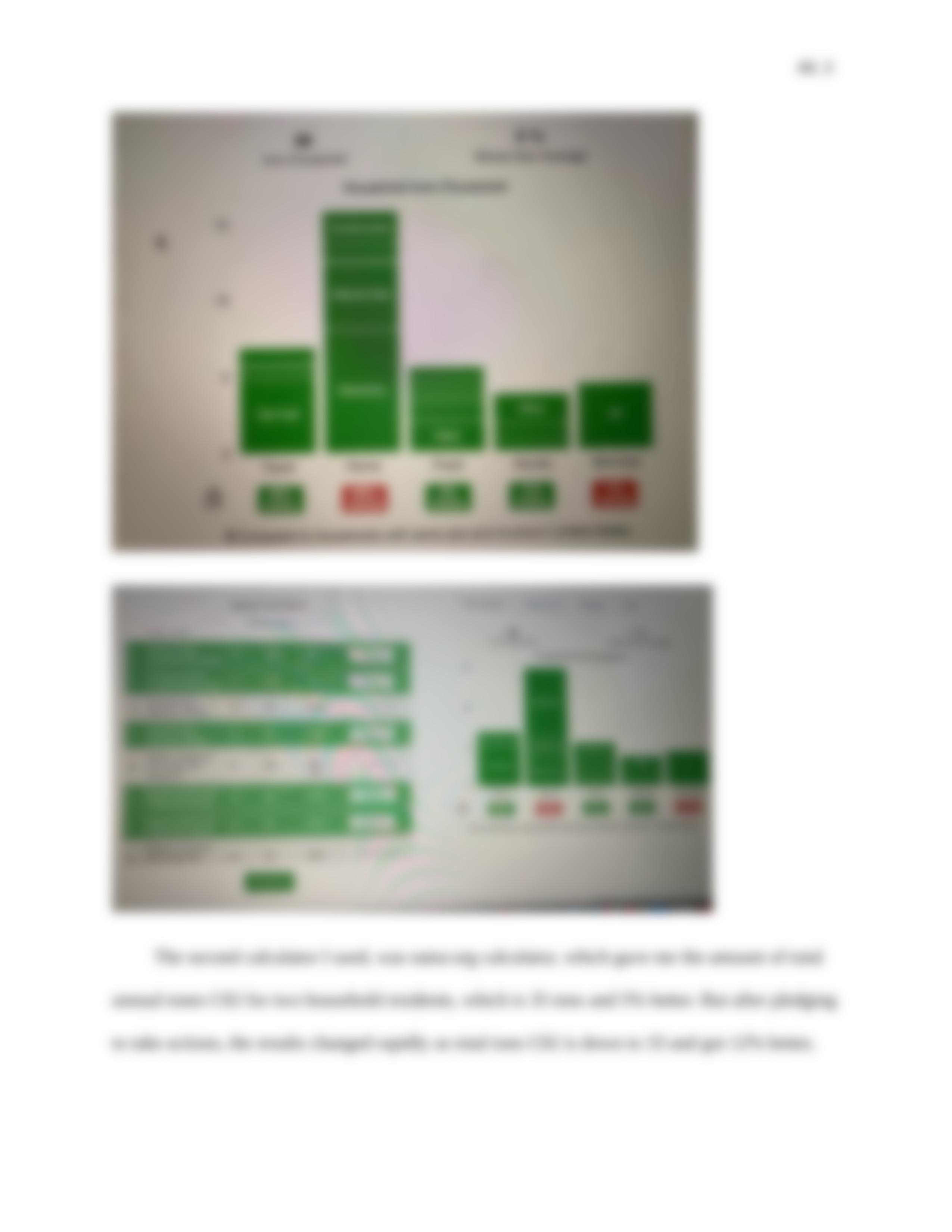 carbon footprint lab report.docx_d93365y8uri_page3