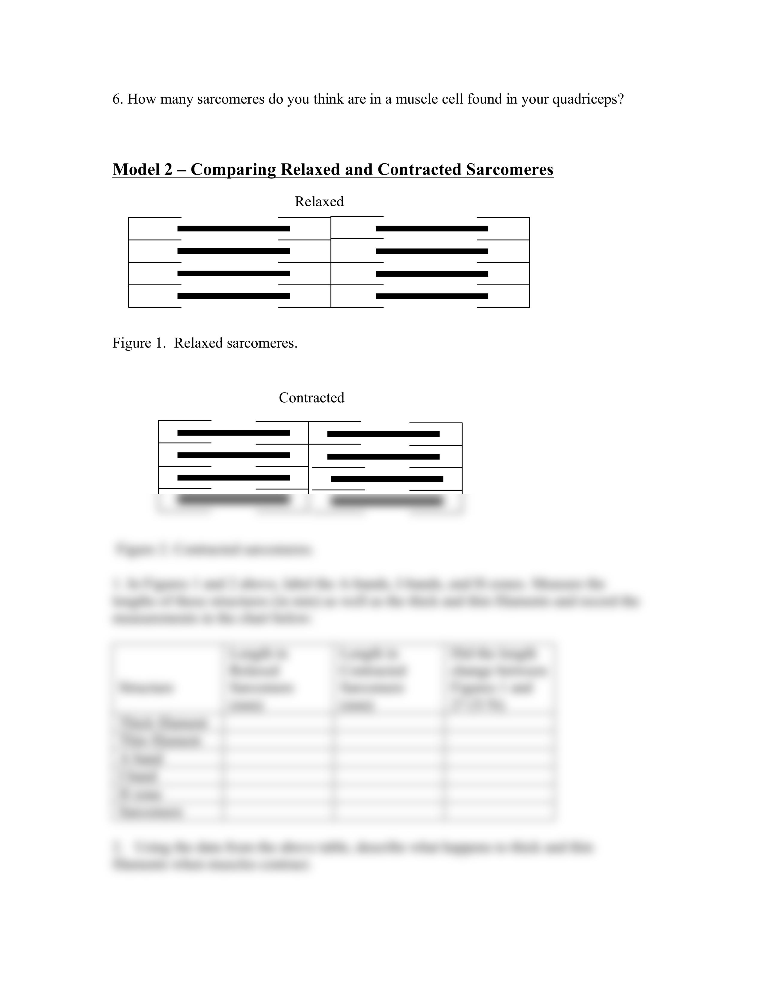 muscle worksheet.pdf_d93pnp37p4r_page2